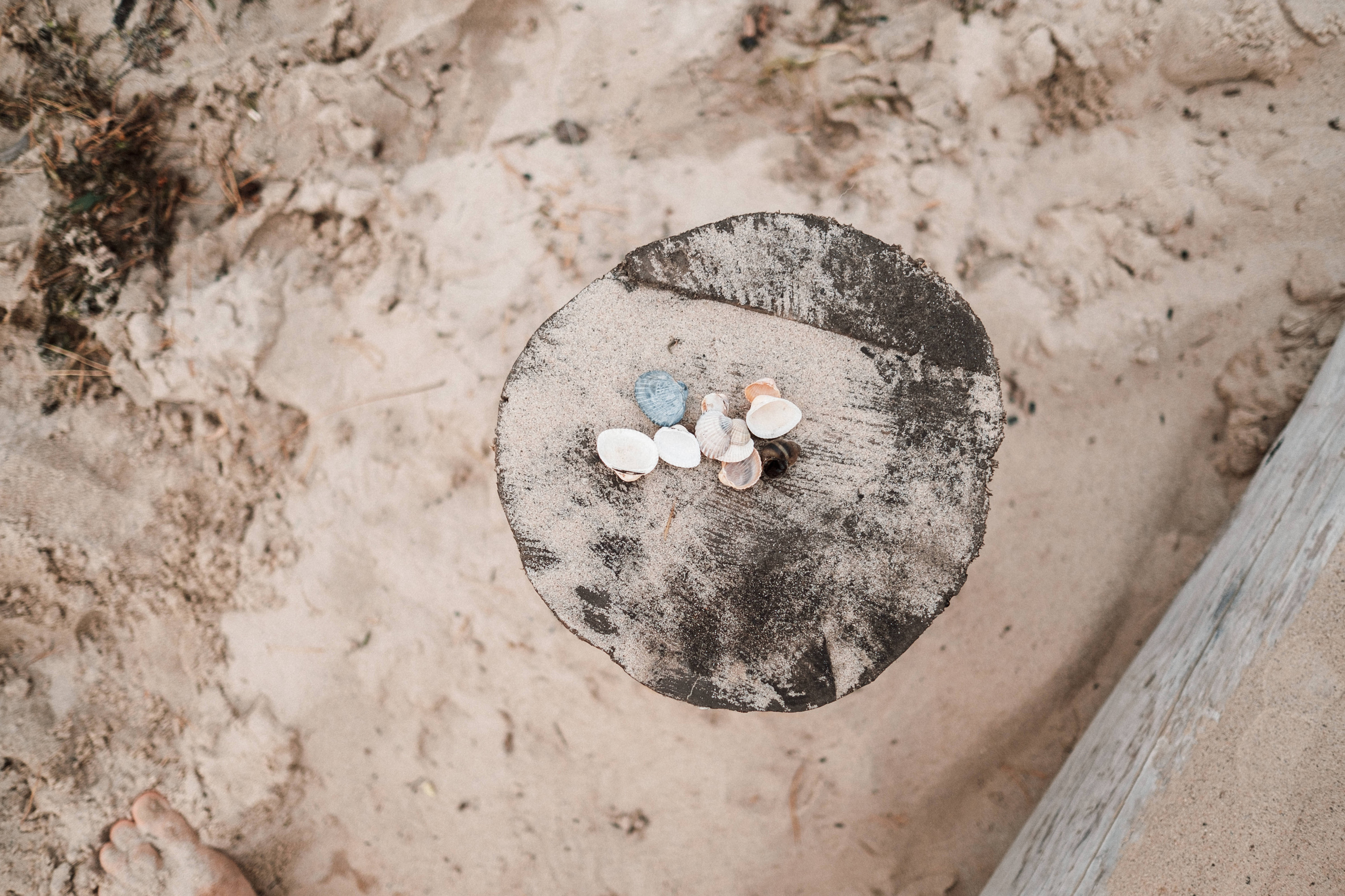 Sincere family photo session. искренняя семейная фотосессия. Ivan Skufinsky — wedding and family photographer in Vancouver