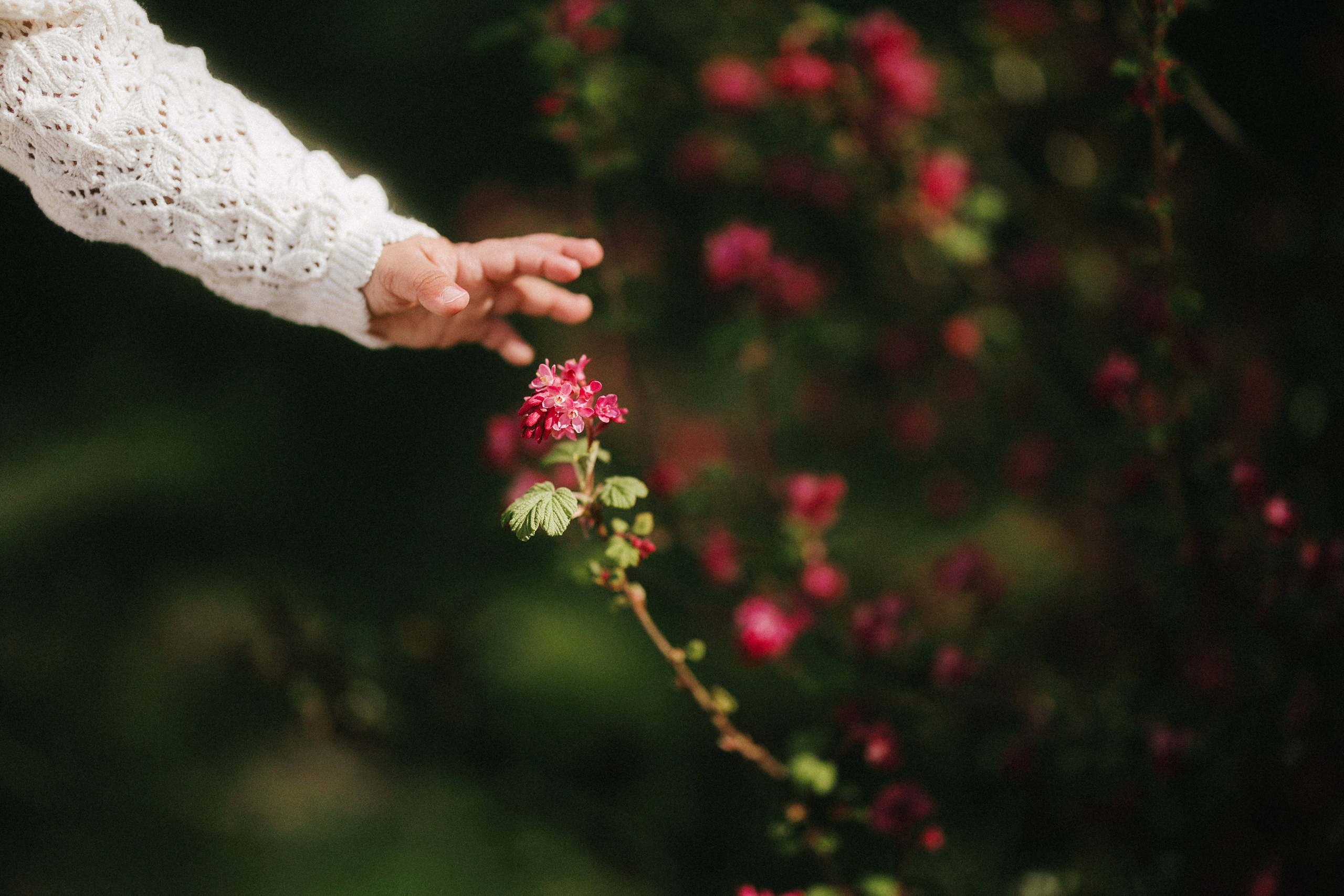 CHILDREN. Ivan Skufinsky — wedding and family photographer in Vancouver