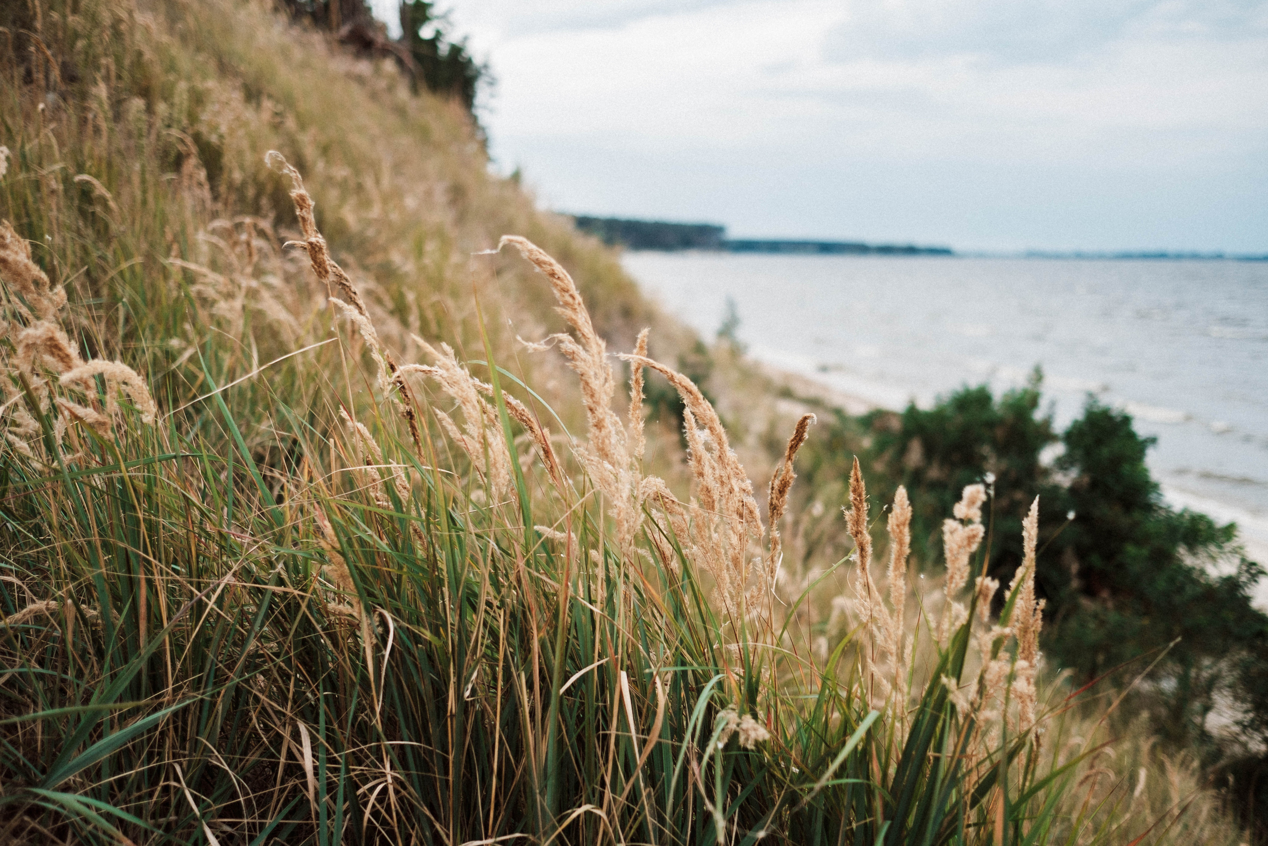Sincere family photo session. искренняя семейная фотосессия. Ivan Skufinsky — wedding and family photographer in Vancouver