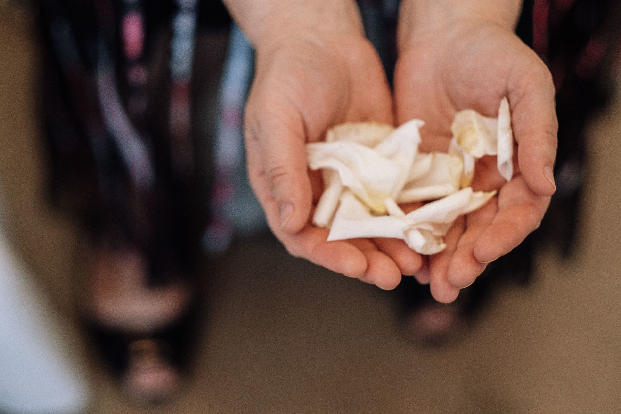 Вика+Максим. Ivan Skufinsky — wedding and family photographer in Vancouver