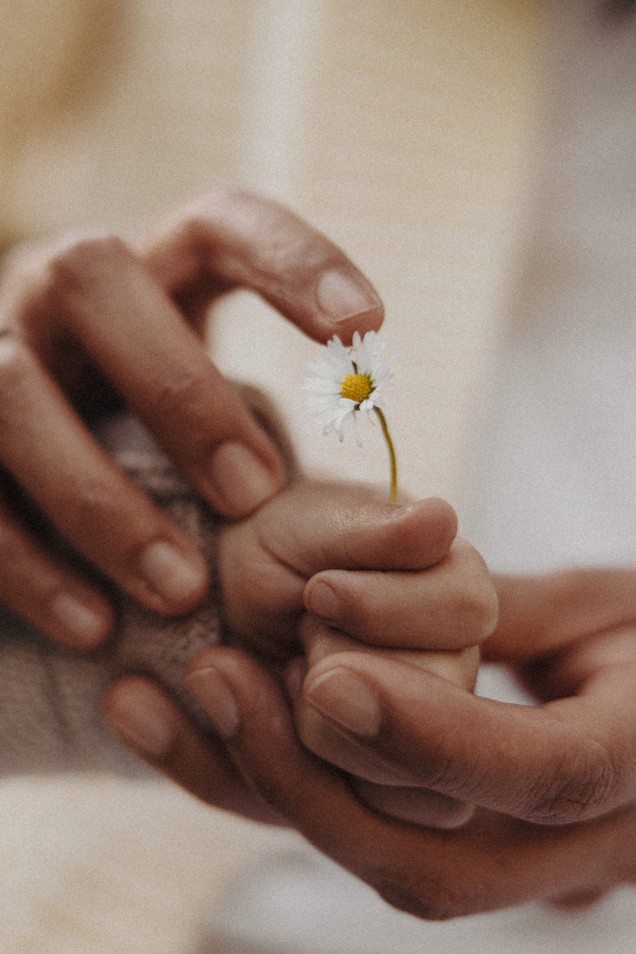CHILDREN. Ivan Skufinsky — wedding and family photographer in Vancouver