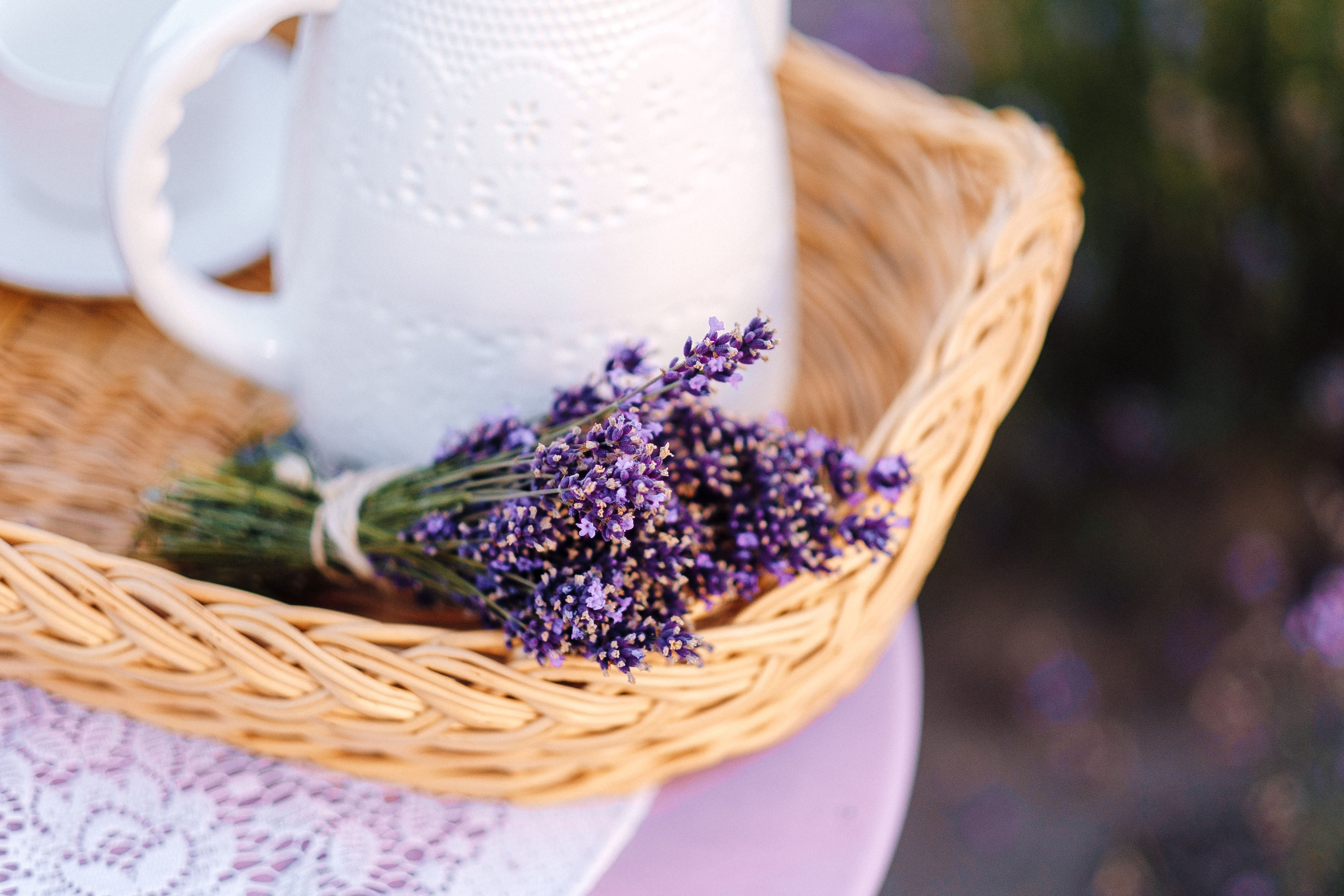 LaVANda. Ivan Skufinsky — wedding and family photographer in Vancouver