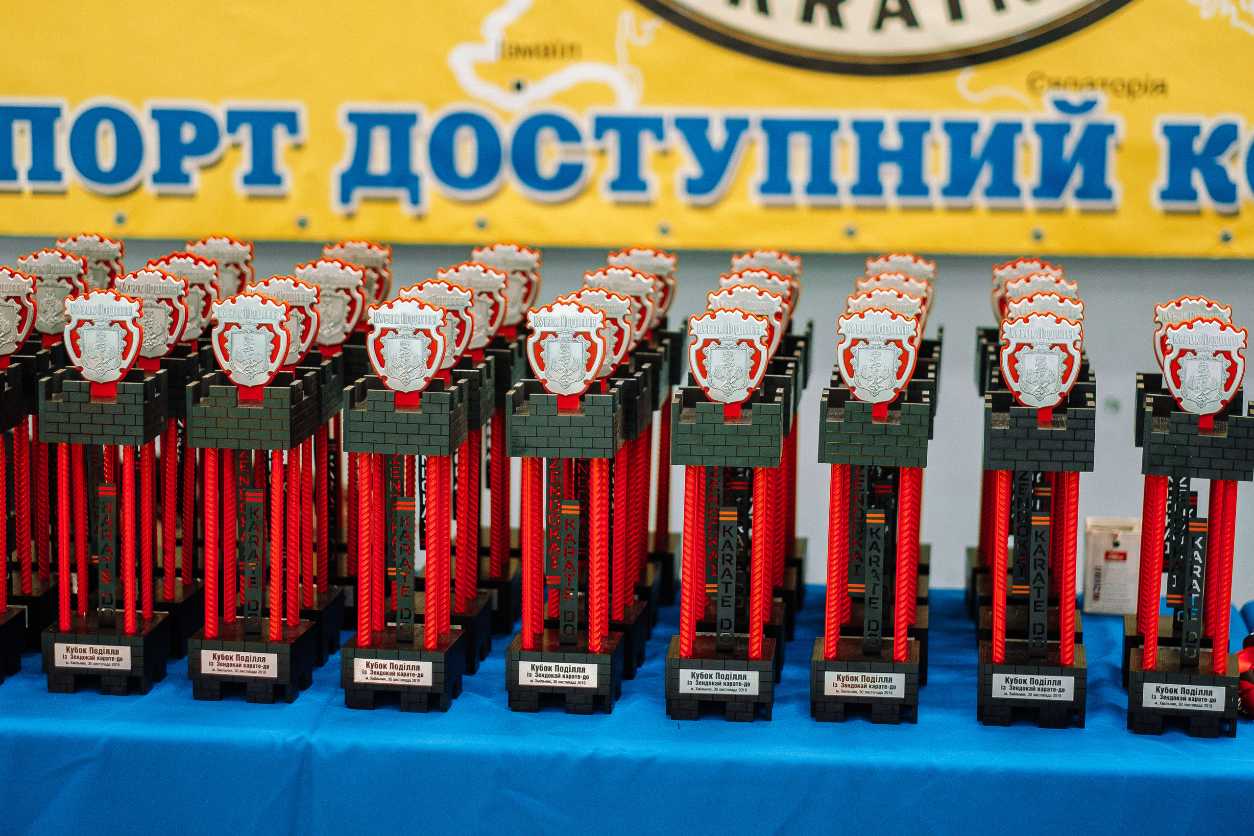 Karate-DO 30.11.2019 in-Khmelnik. Ivan Skufinsky — wedding and family photographer in Vancouver