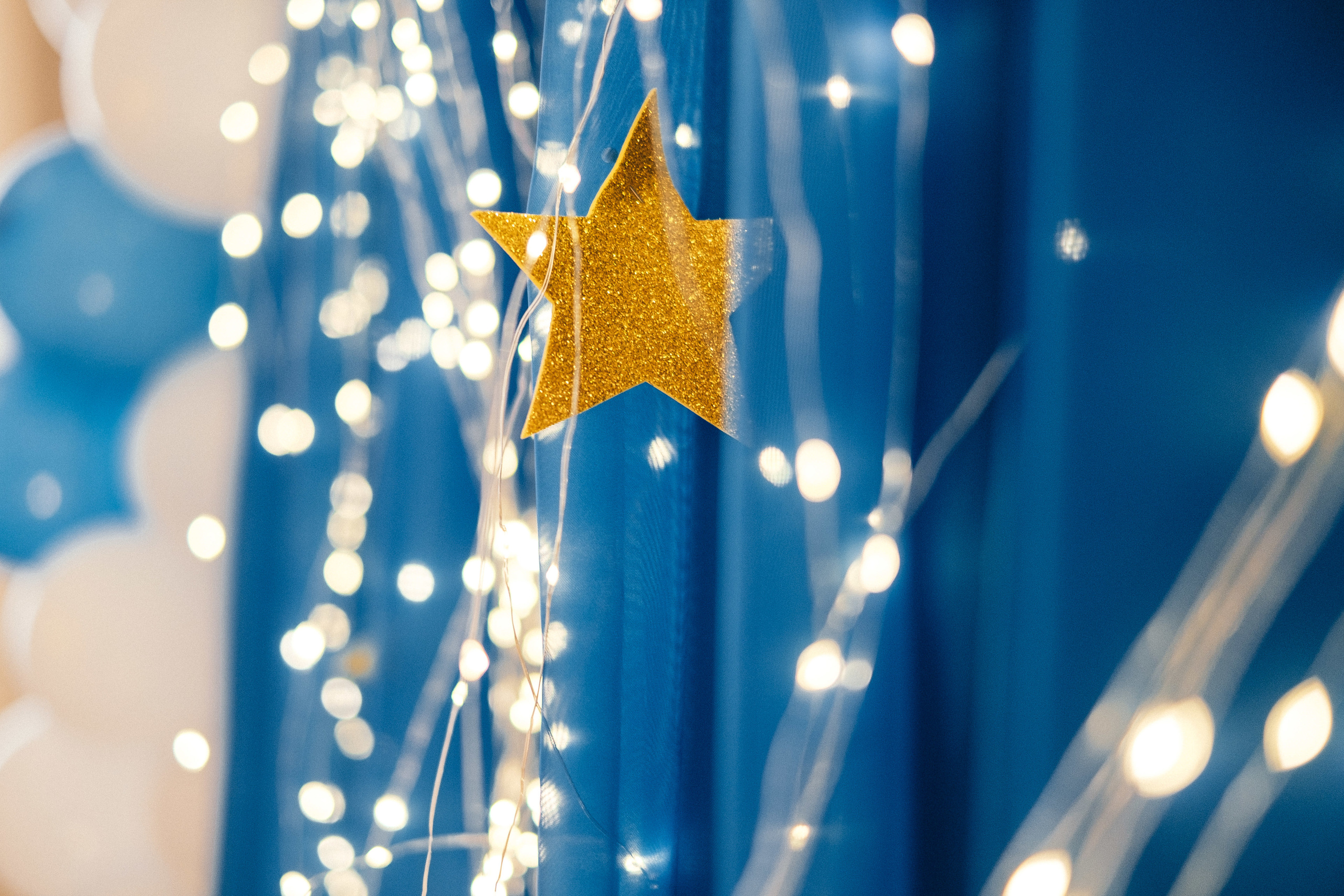 День Рождения Илюшка ресторан Лесной. Ivan Skufinsky — wedding and family photographer in Vancouver