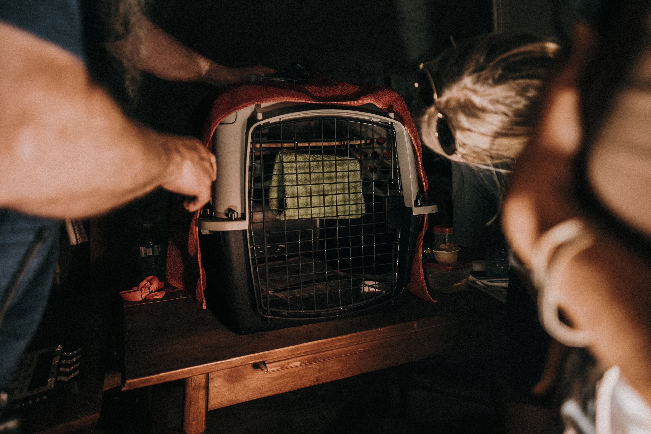 BTS -=NIGHT ROUTINE=- 2024. Ivan Skufinsky — wedding and family photographer in Vancouver