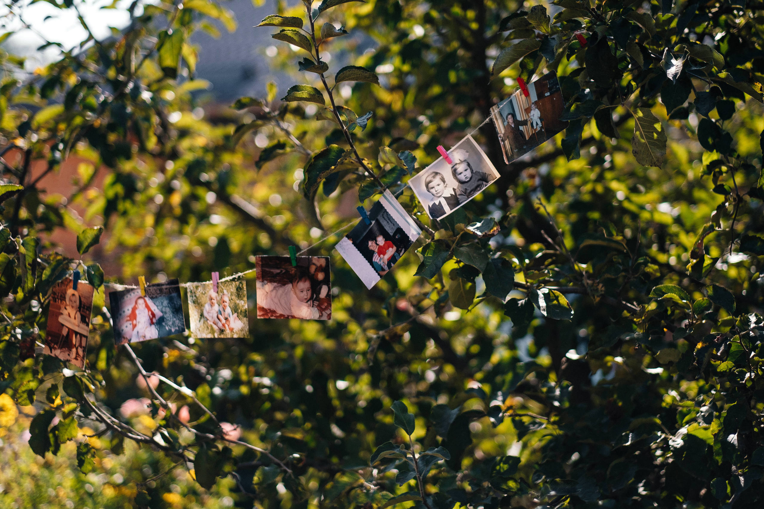 Свадебная история Влад+Яна. Ivan Skufinsky — wedding and family photographer in Vancouver