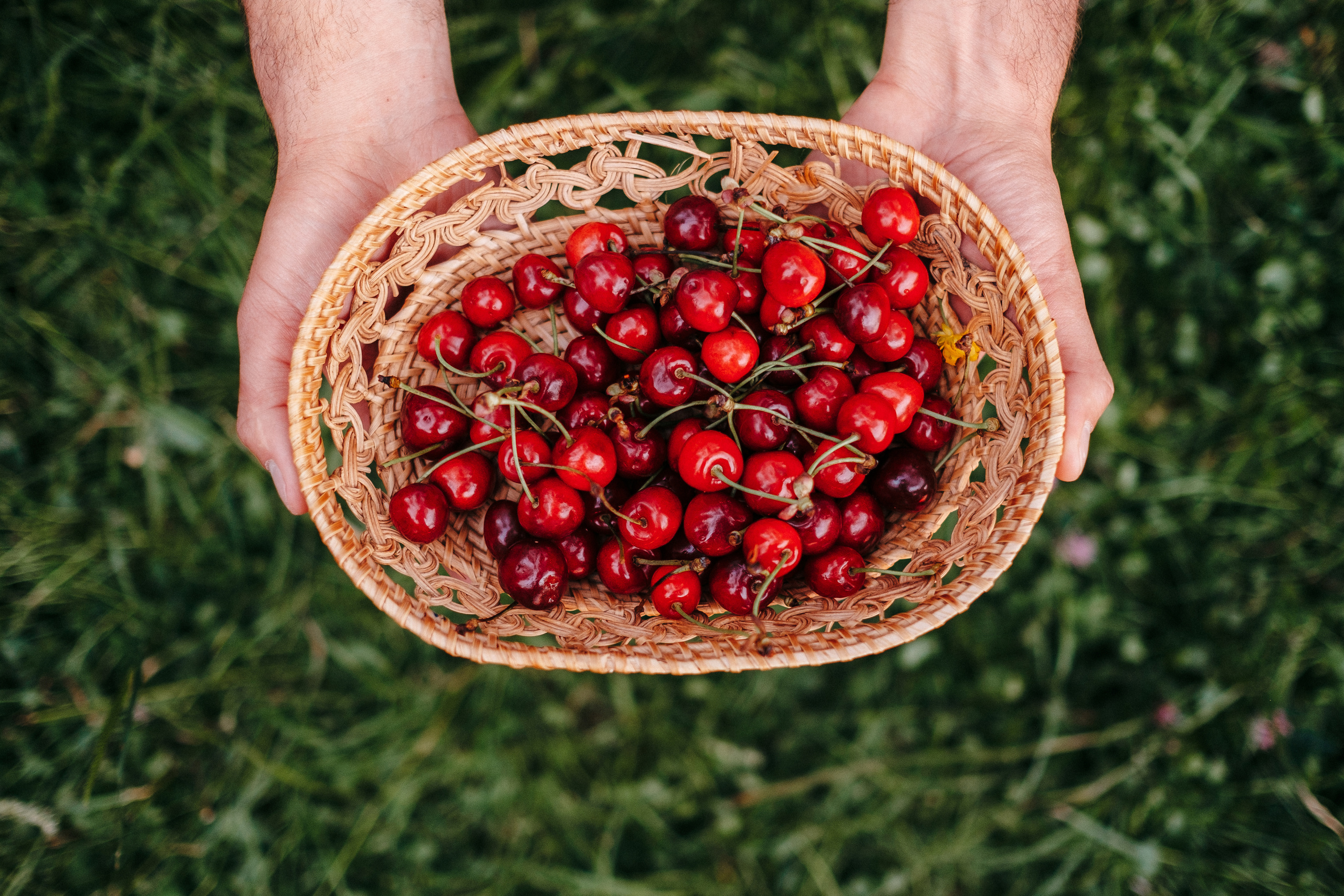 Family STory. Ivan Skufinsky — wedding and family photographer in Vancouver