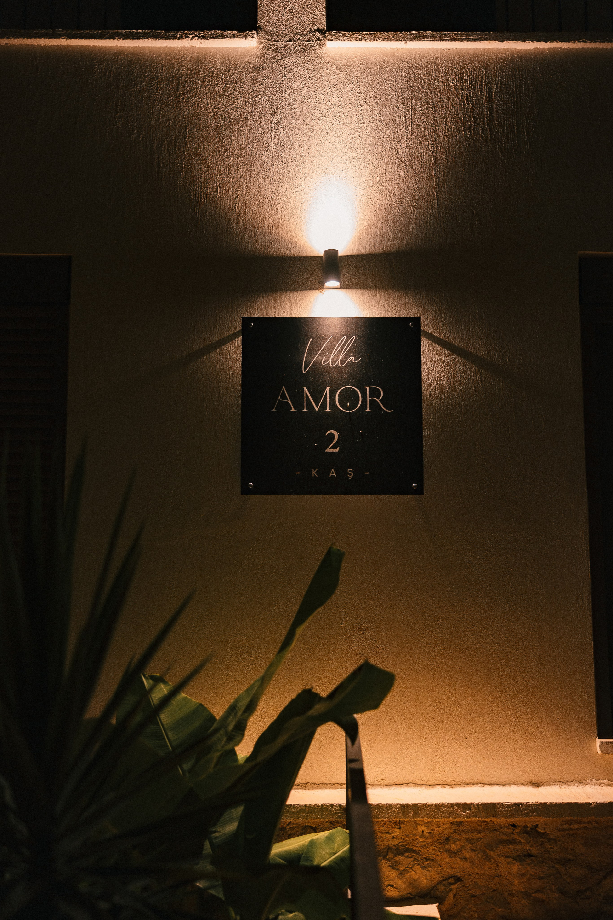 Wedding photographer Vancouver. Ivan Skufinsky — wedding and family photographer in Vancouver