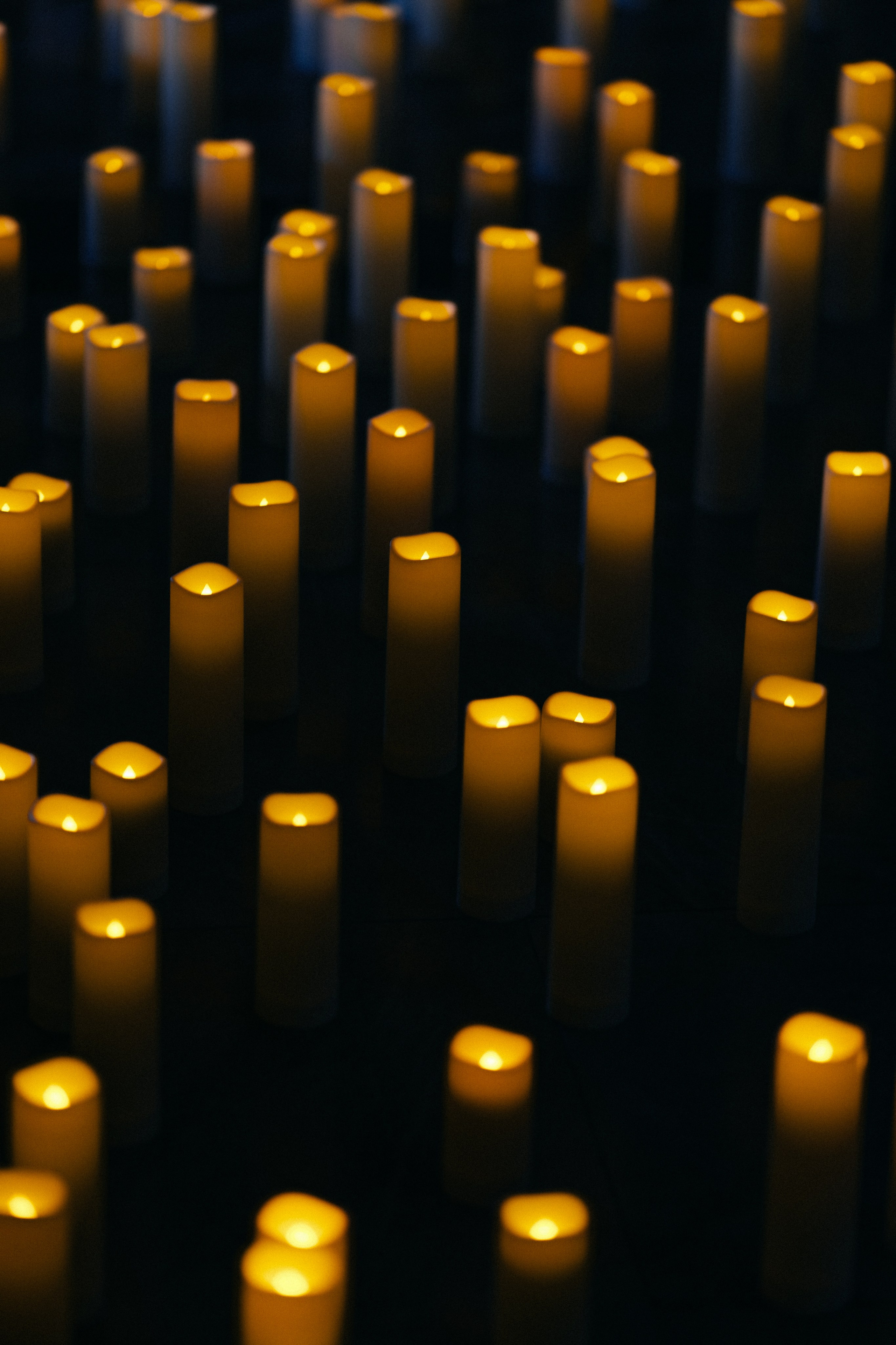 Live concert photography from Vivienne Mort in Vancouver 2025. Ivan Skufinsky — wedding and family photographer in Vancouver