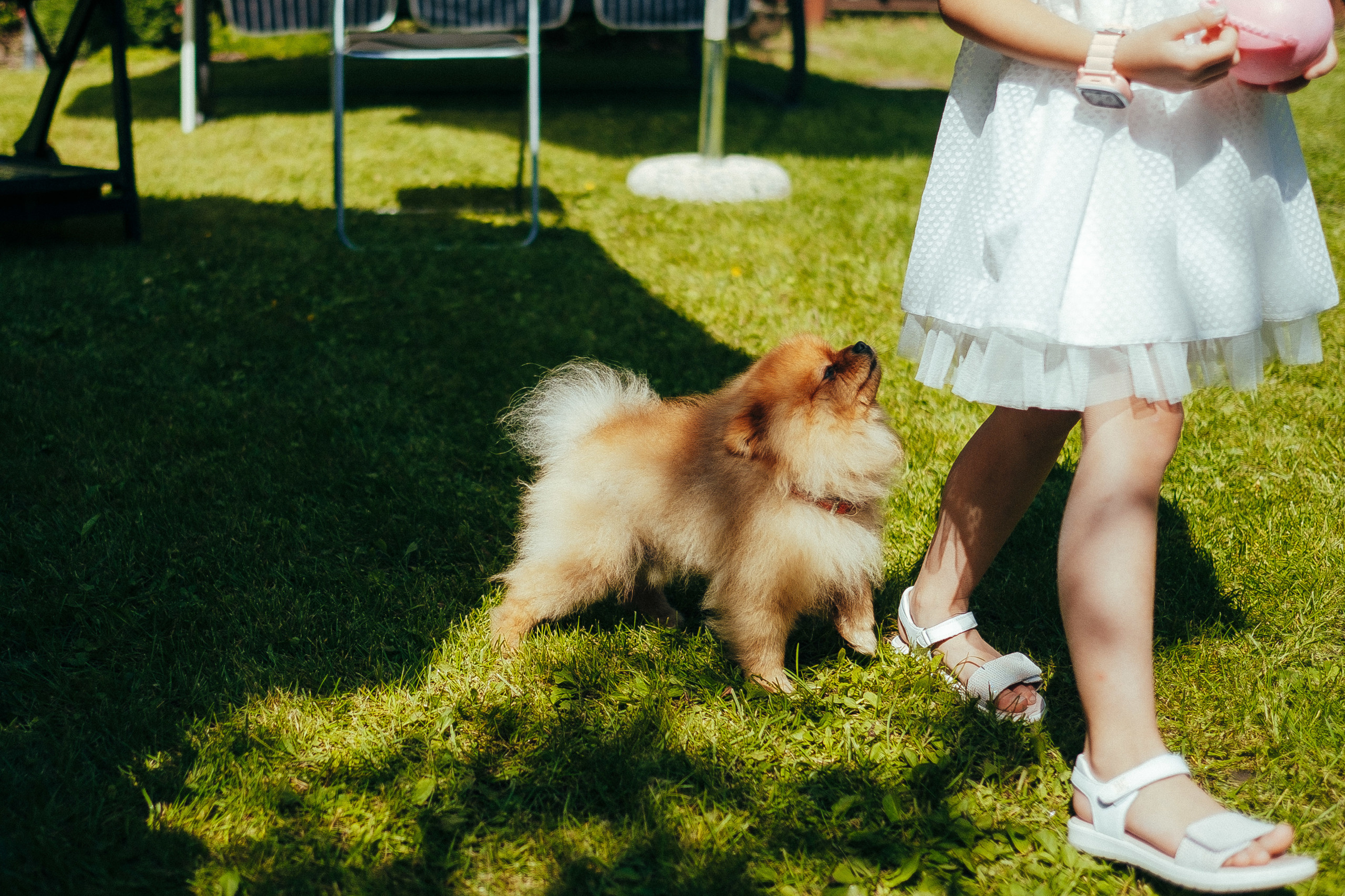 День Рождения Лизочка (2018). Ivan Skufinsky — wedding and family photographer in Vancouver