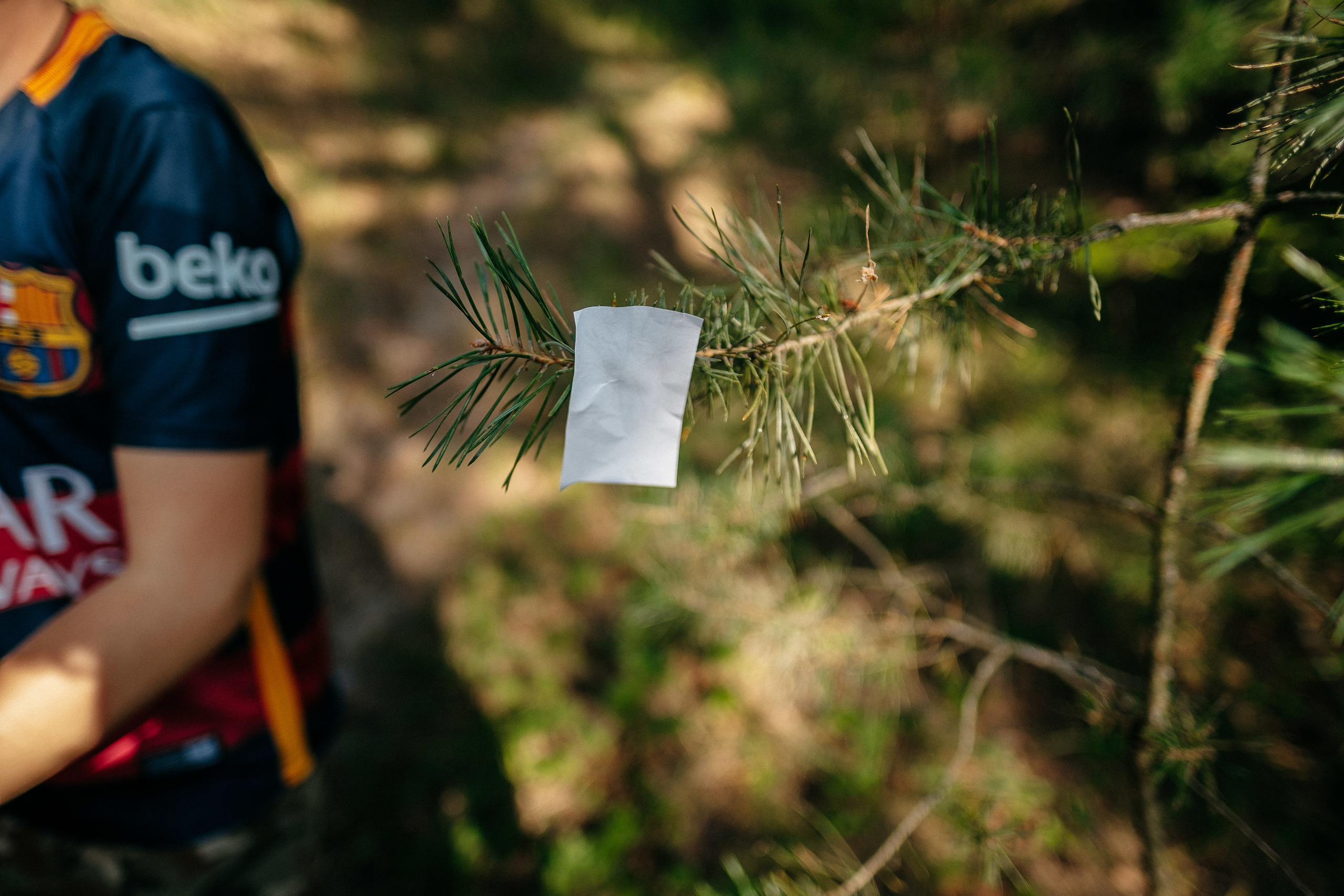 День Рождения Лизочка 7 лет. Ivan Skufinsky — wedding and family photographer in Vancouver