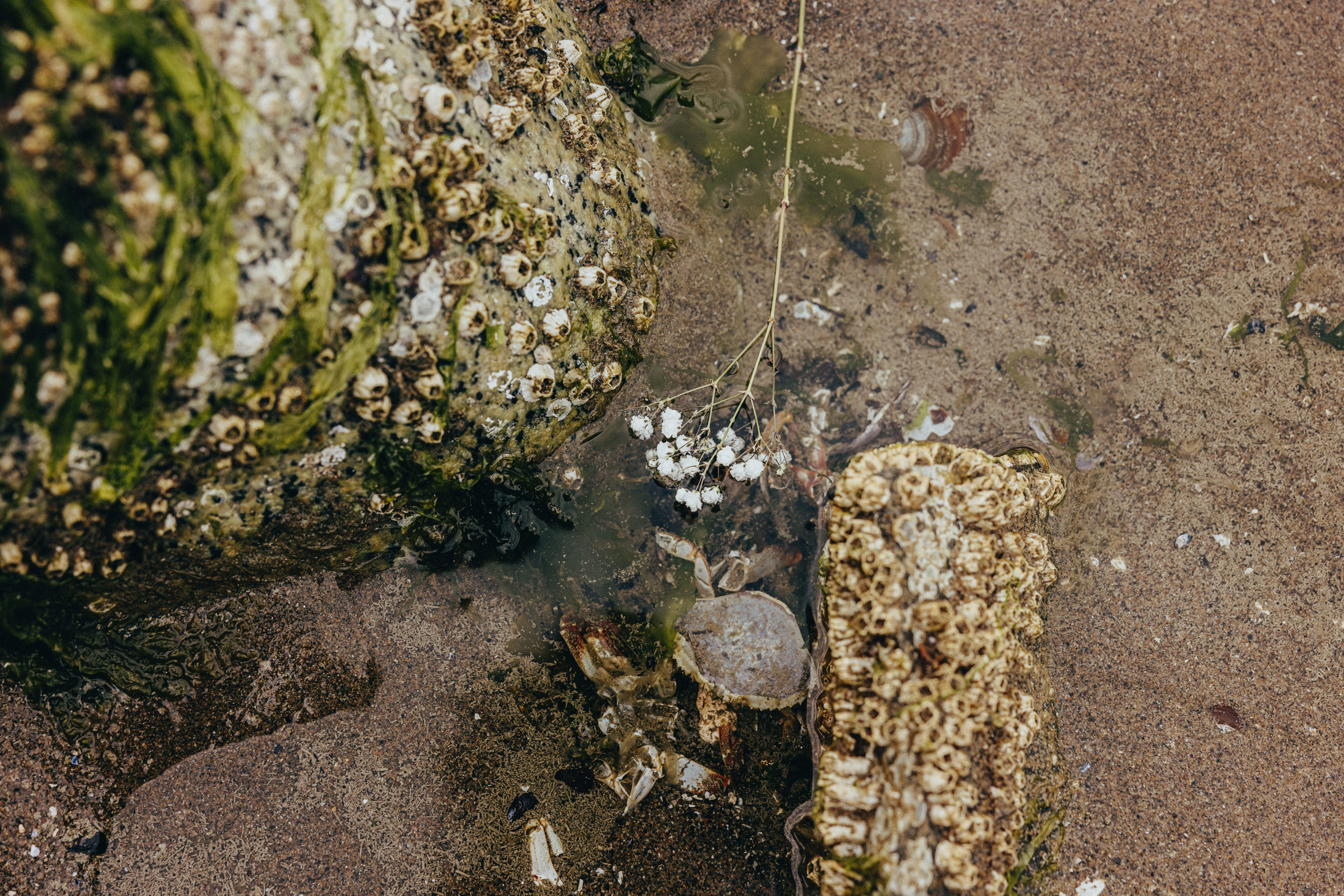 Vancouver love story. Ivan Skufinsky — wedding and family photographer in Vancouver