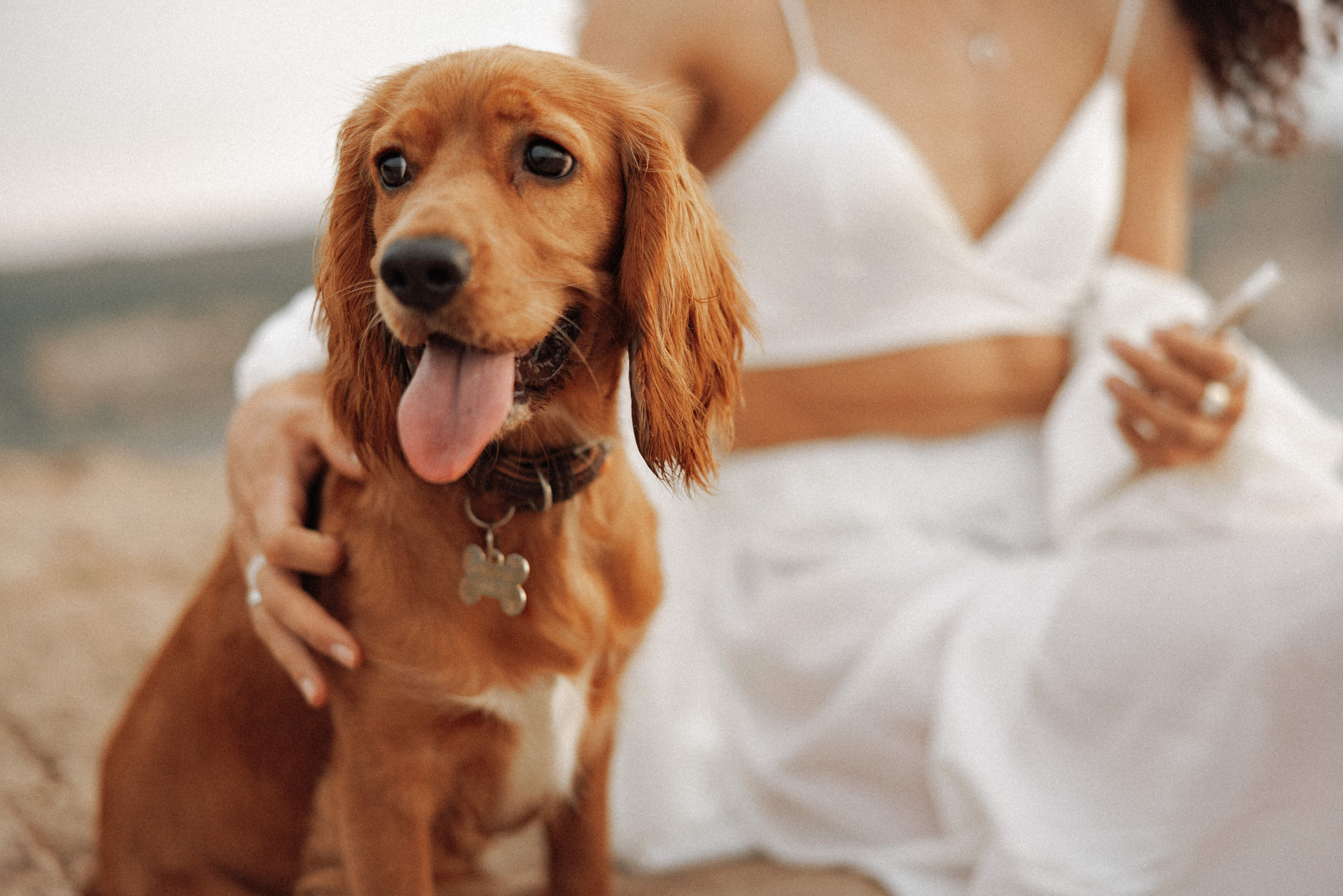 Couples love story photographer photo shoot Vancouver Burnaby Richmond. Ivan Skufinsky — wedding and family photographer in Vancouver