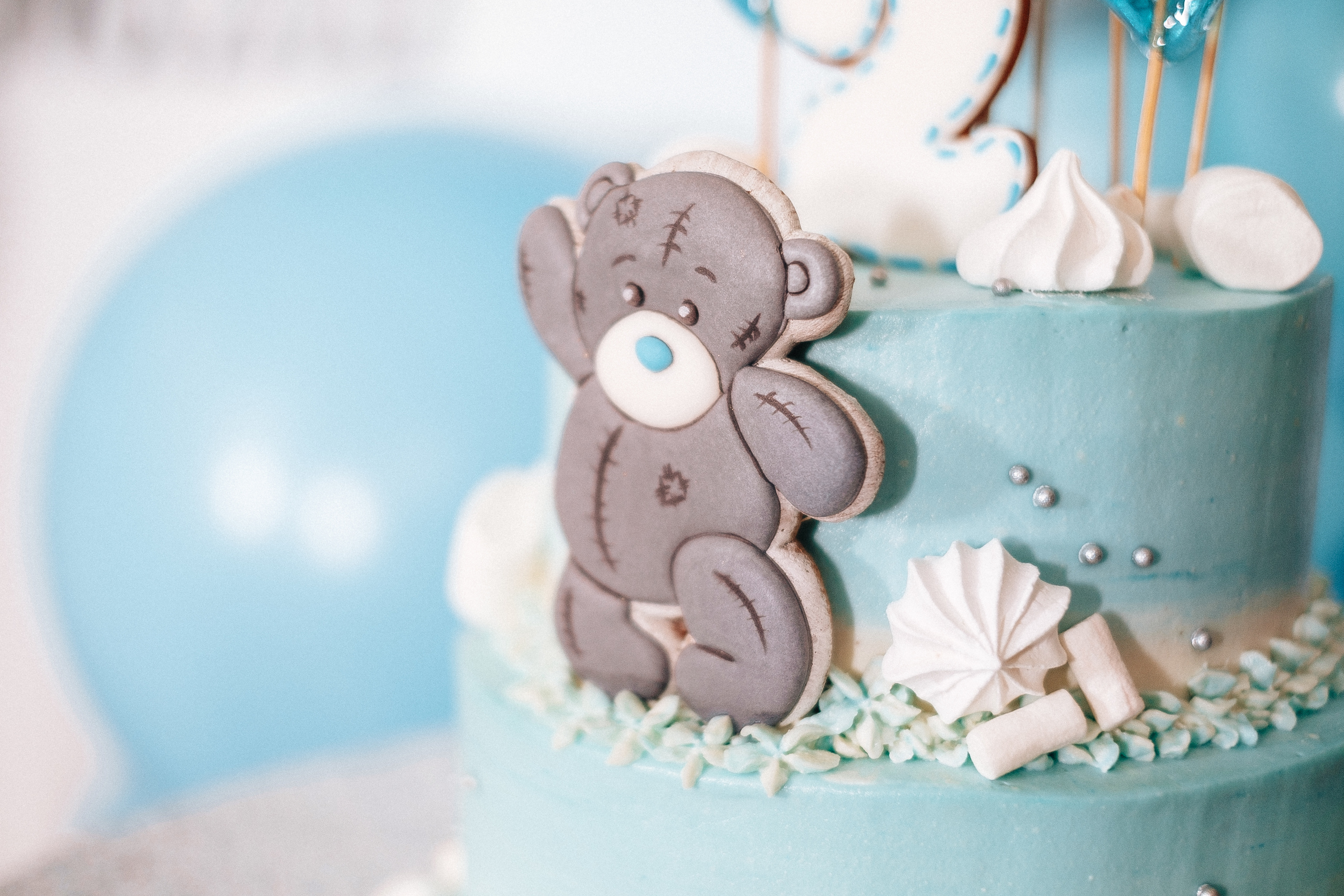 Версаль 30.11.2019. Ivan Skufinsky — wedding and family photographer in Vancouver