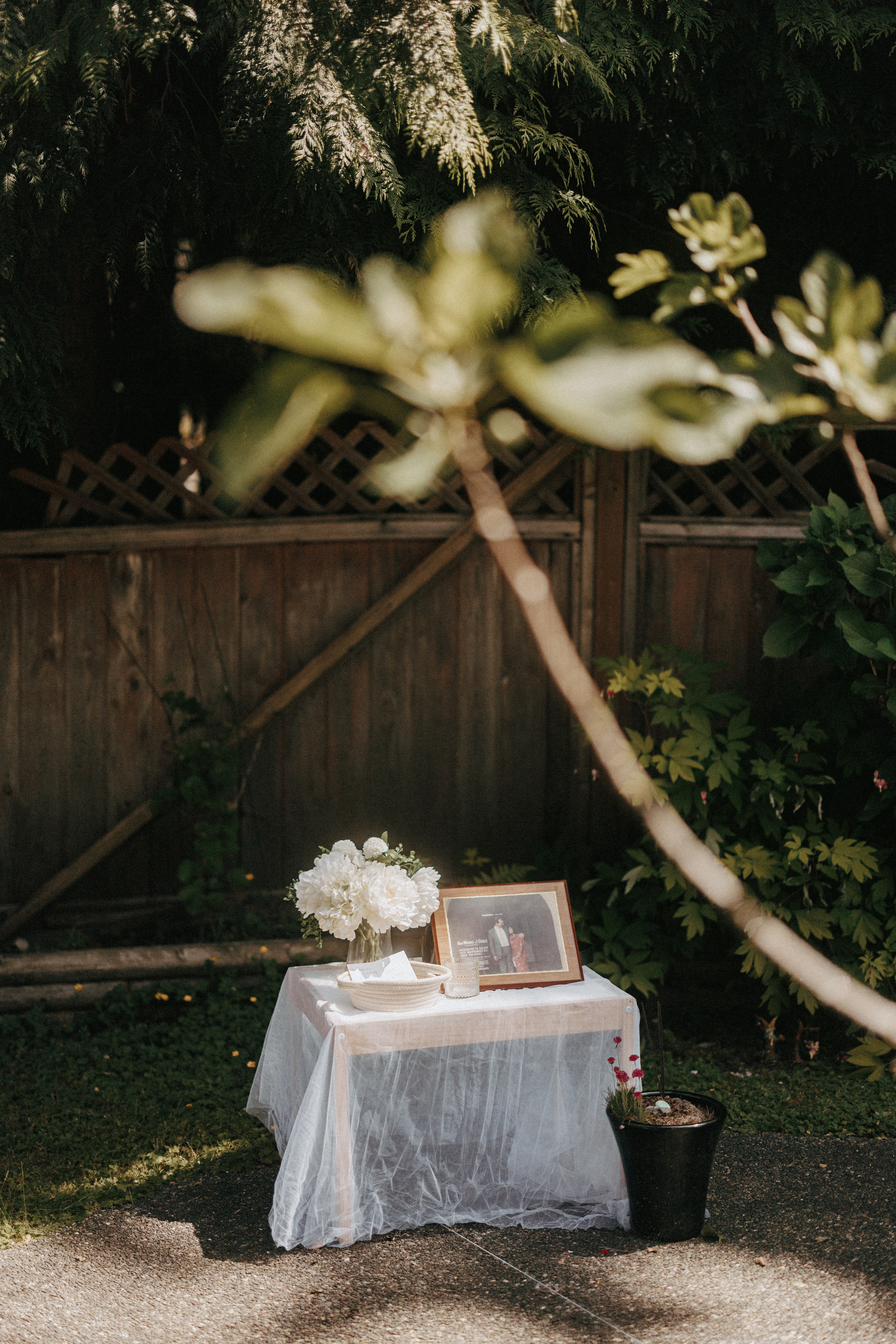 Michael & Caitlyn. Ivan Skufinsky — wedding and family photographer in Vancouver