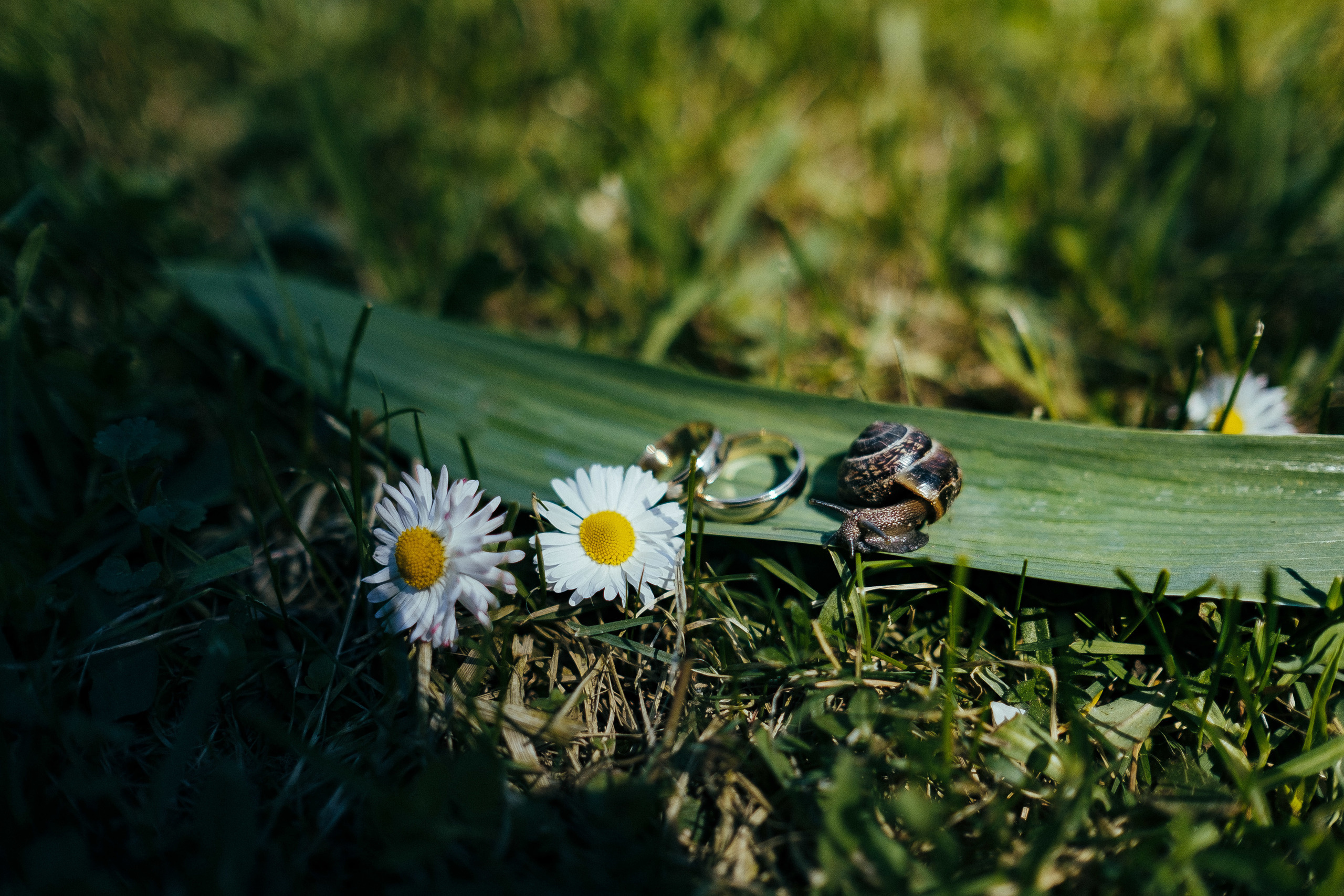 Виктор+Катя. Ivan Skufinsky — wedding and family photographer in Vancouver