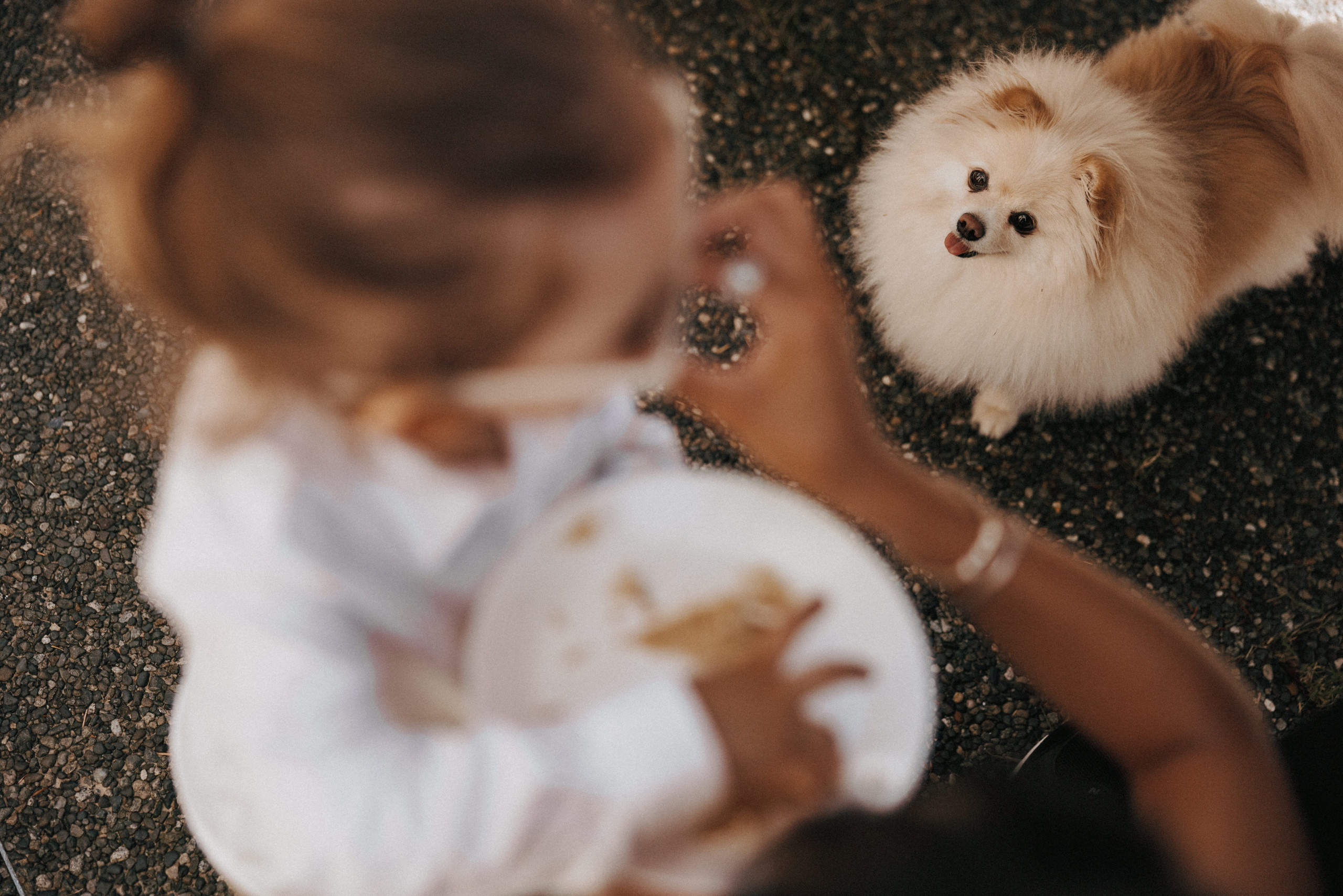 Michael & Caitlyn. Ivan Skufinsky — wedding and family photographer in Vancouver