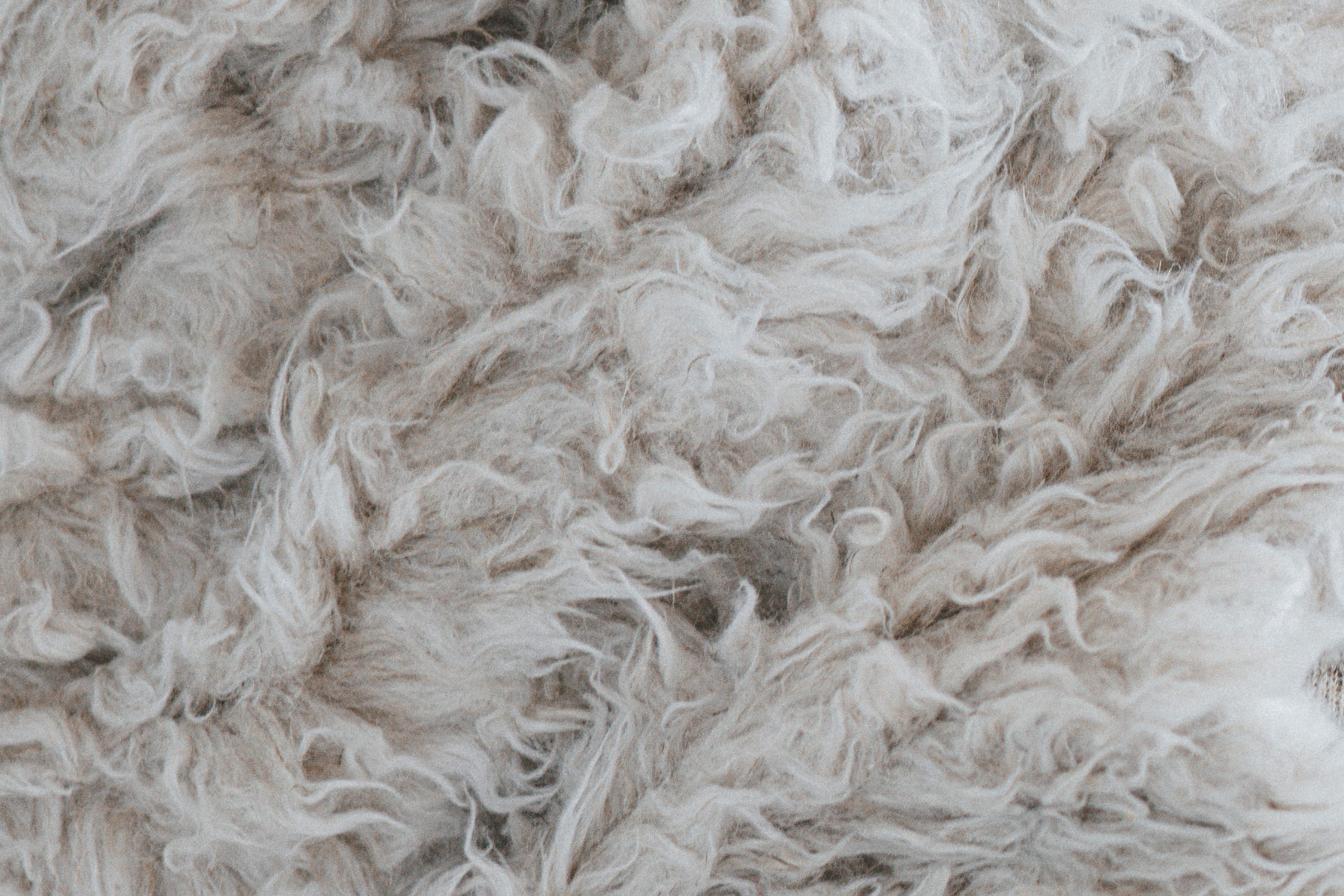 For the Briiskie Bobbins brand. Ivan Skufinsky — wedding and family photographer in Vancouver