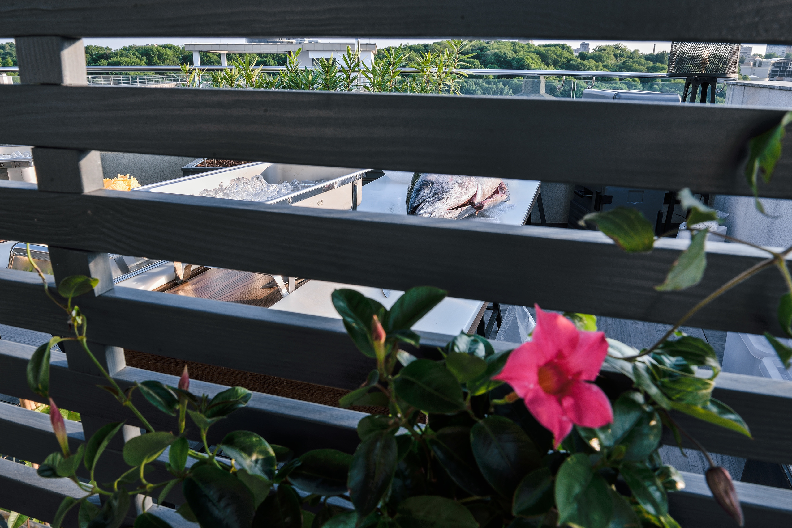 Фотограф на мероприятие. Ivan Skufinsky — wedding and family photographer in Vancouver