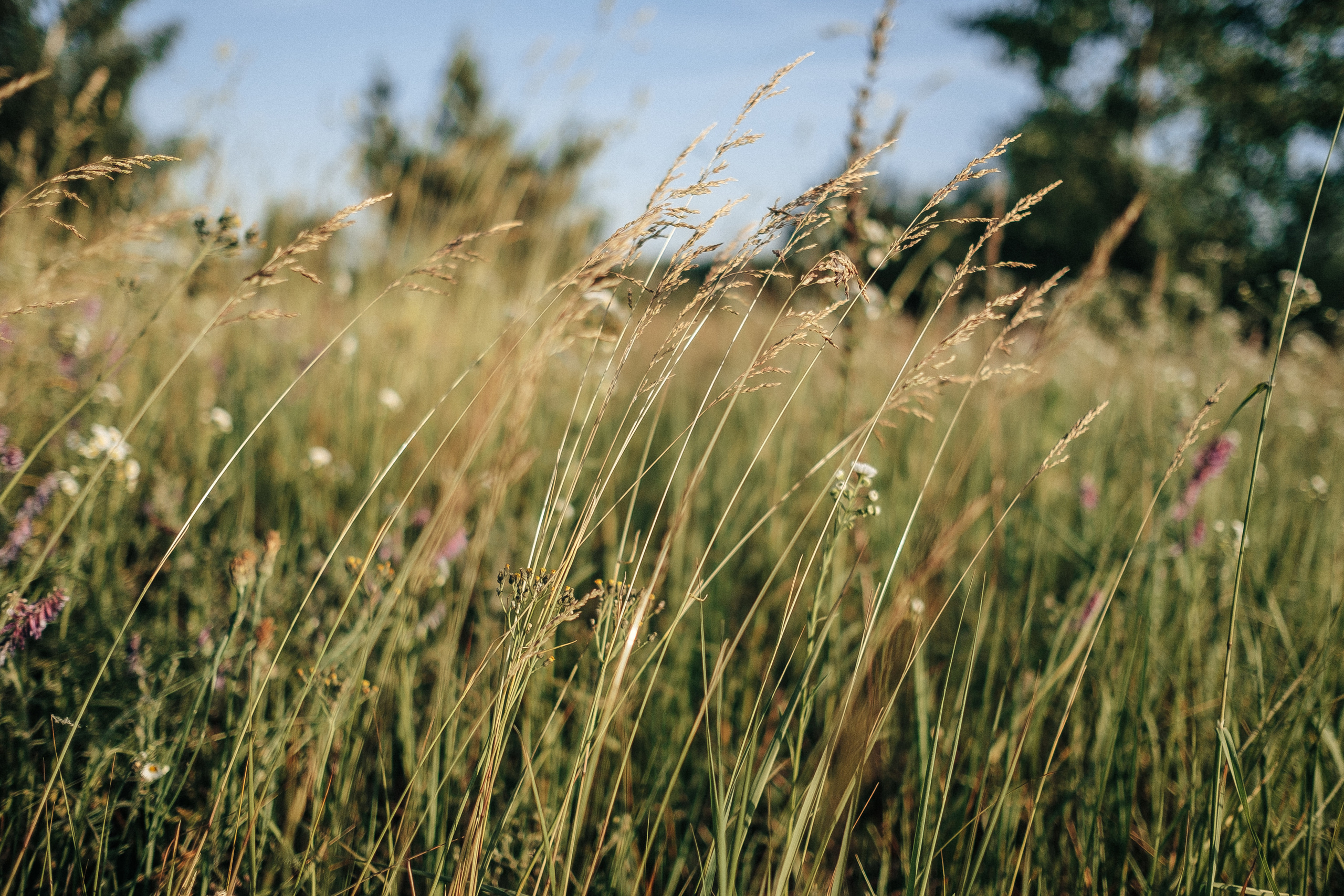 семейная фотосессия