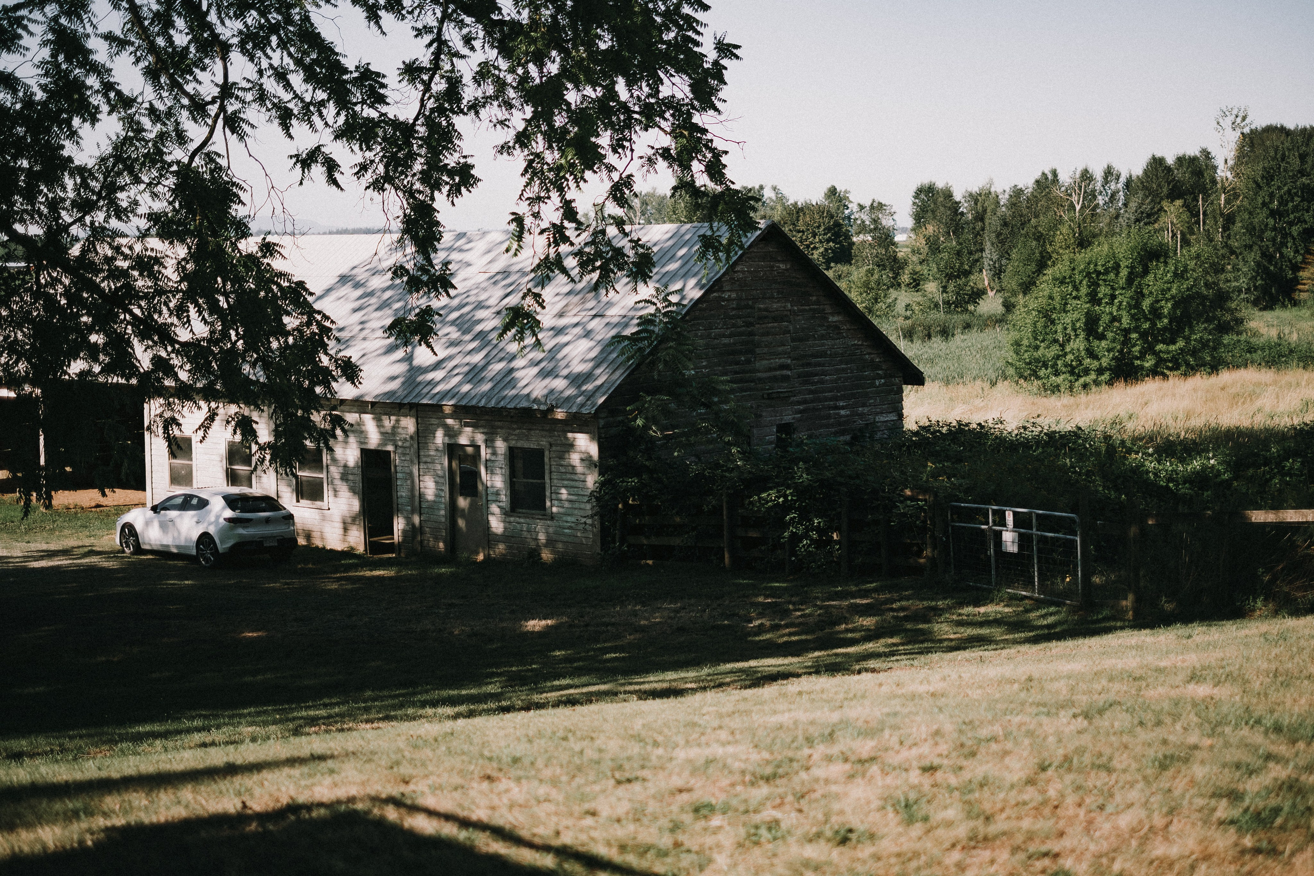 BTS -=NIGHT ROUTINE=- 2024. Ivan Skufinsky — wedding and family photographer in Vancouver
