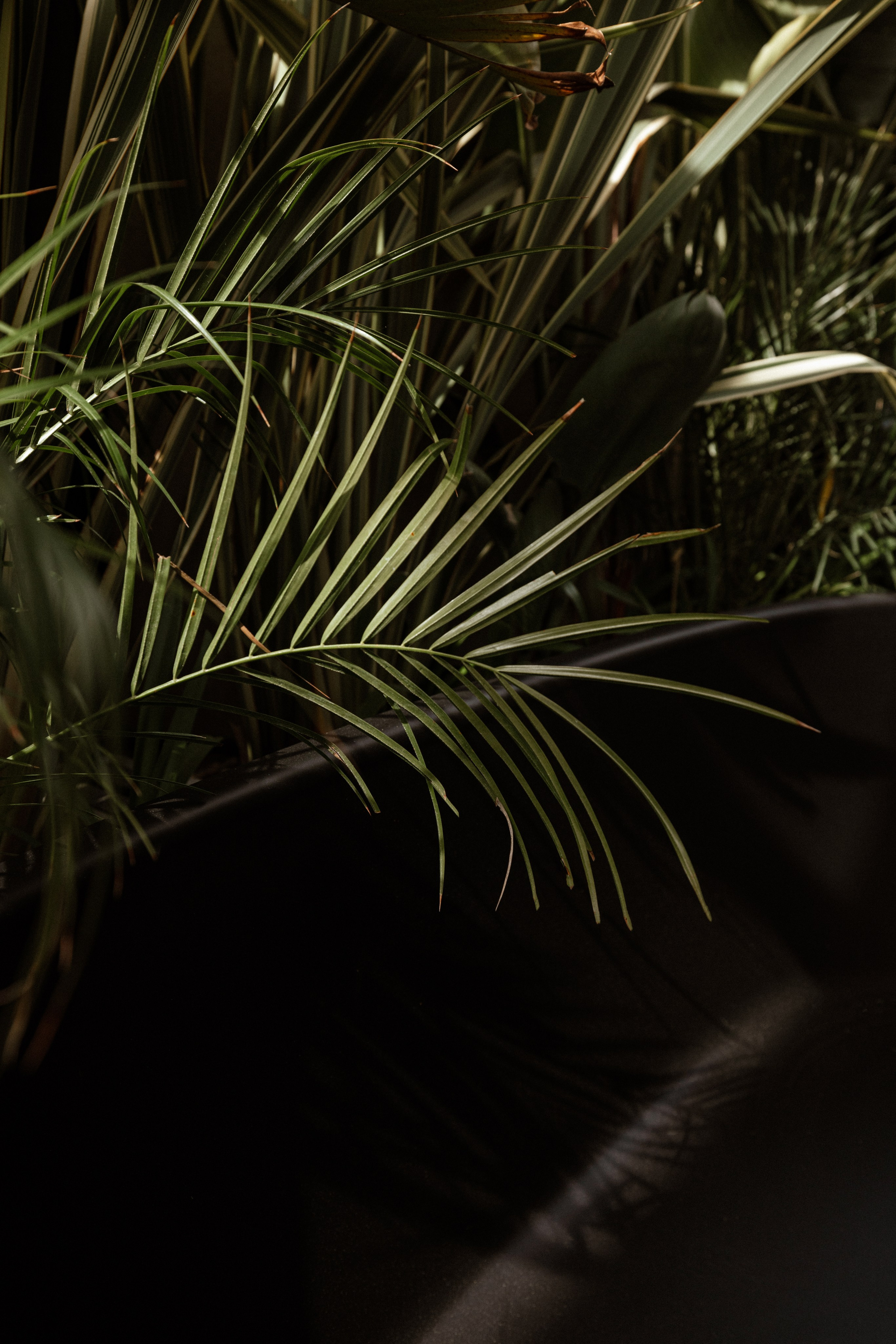 Interior photography and video shooting of a hotel in Bali style. Ivan Skufinsky — wedding and family photographer in Vancouver