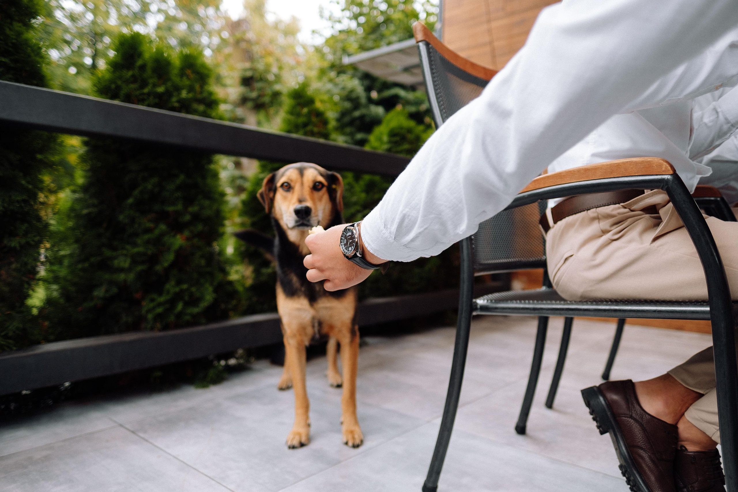 Wedding photographer in Vancouver Весільний фотограф у Ванкувері. Ivan Skufinsky — wedding and family photographer in Vancouver