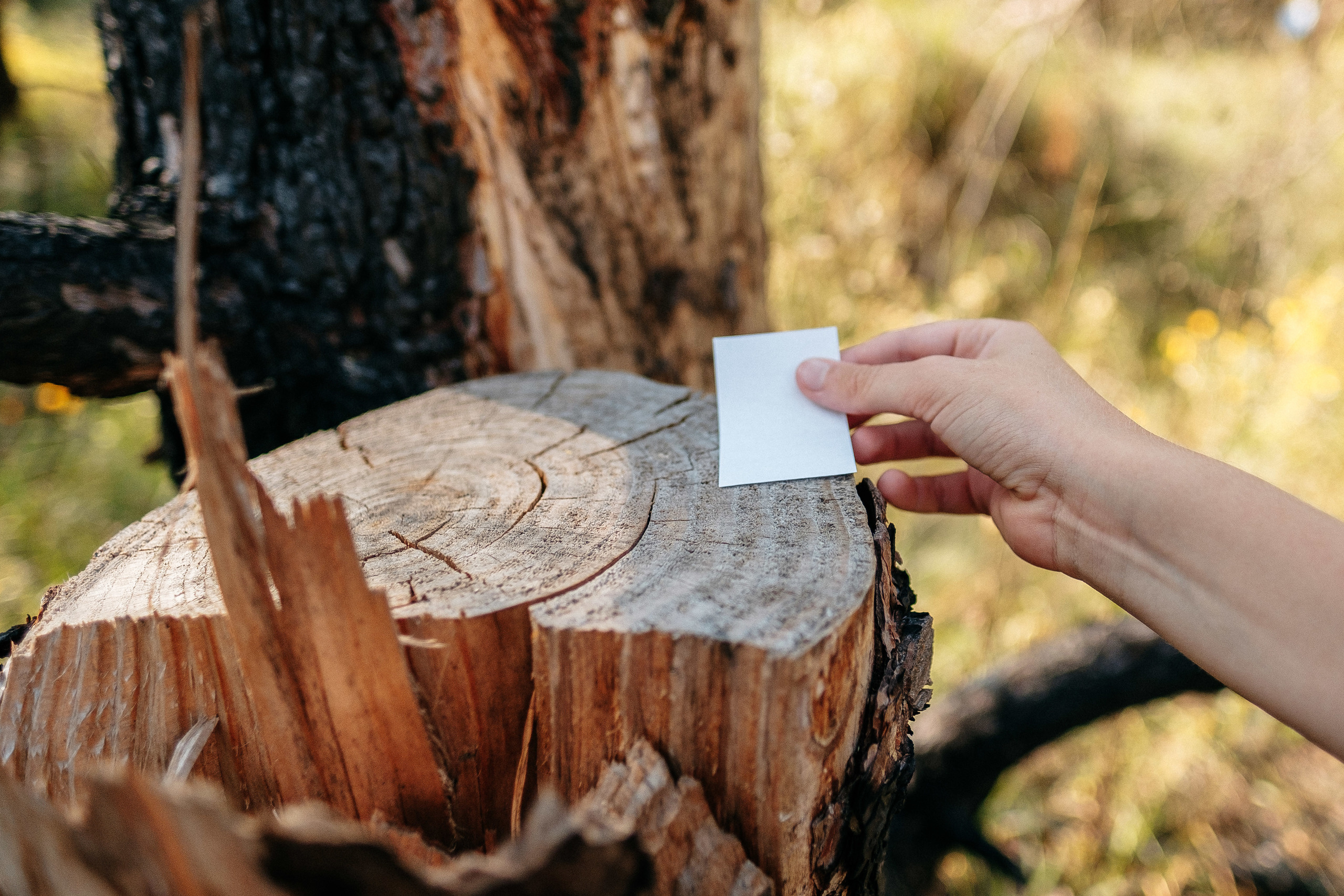 День Рождения Лизочка 7 лет. Ivan Skufinsky — wedding and family photographer in Vancouver
