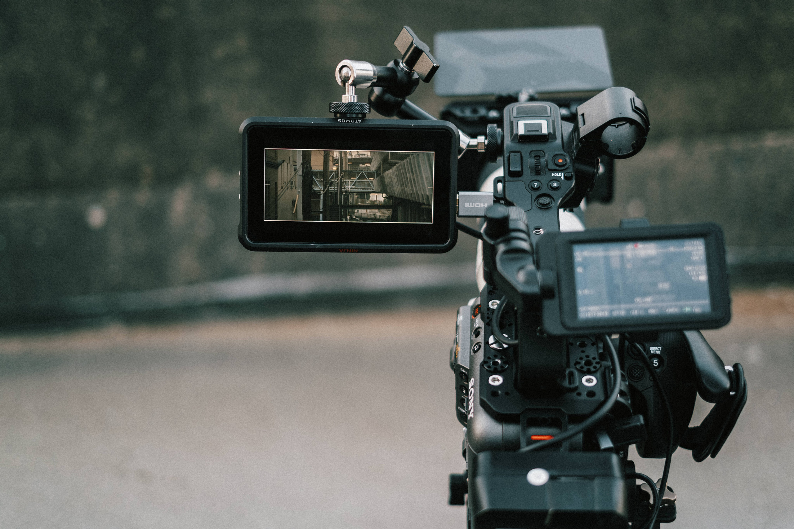 SHEEPSKIN. Ivan Skufinsky — wedding and family photographer in Vancouver