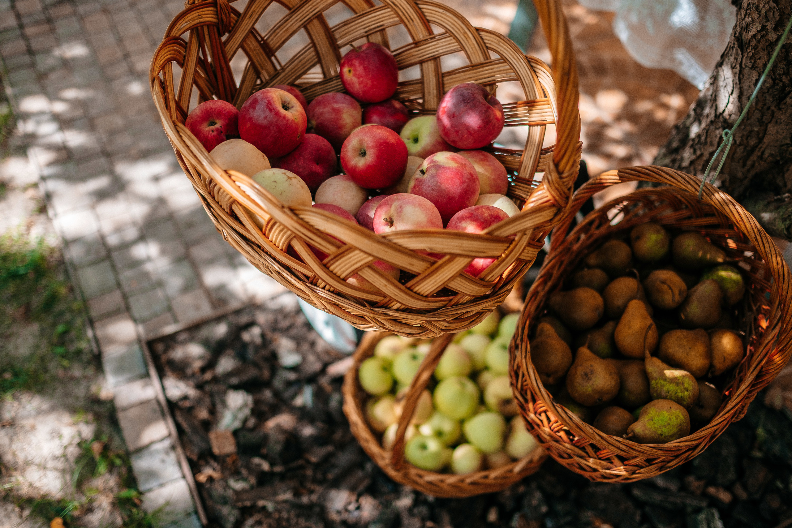 День Рождения Лизочка 7 лет. Ivan Skufinsky — wedding and family photographer in Vancouver