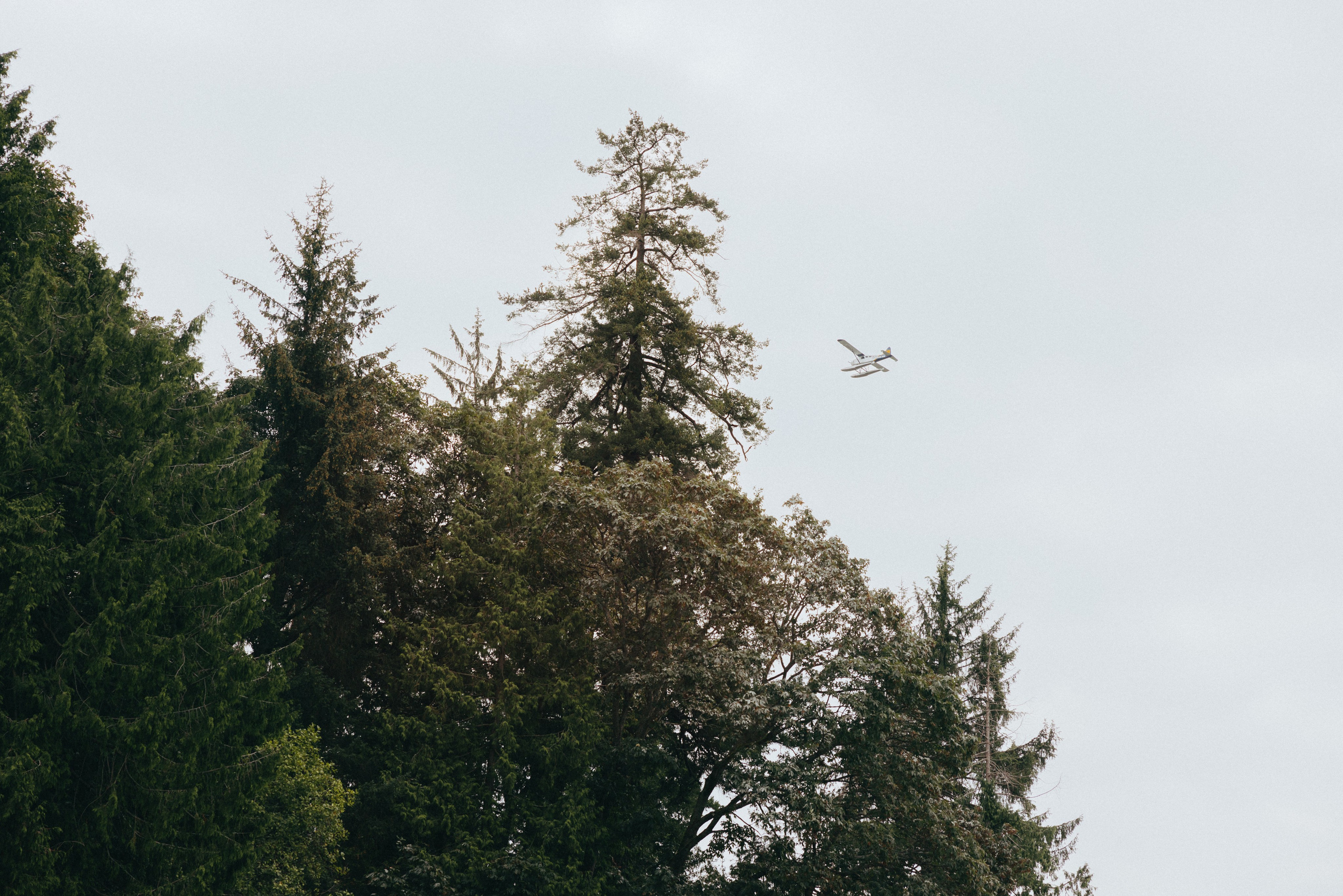 Vancouver love story. Ivan Skufinsky — wedding and family photographer in Vancouver