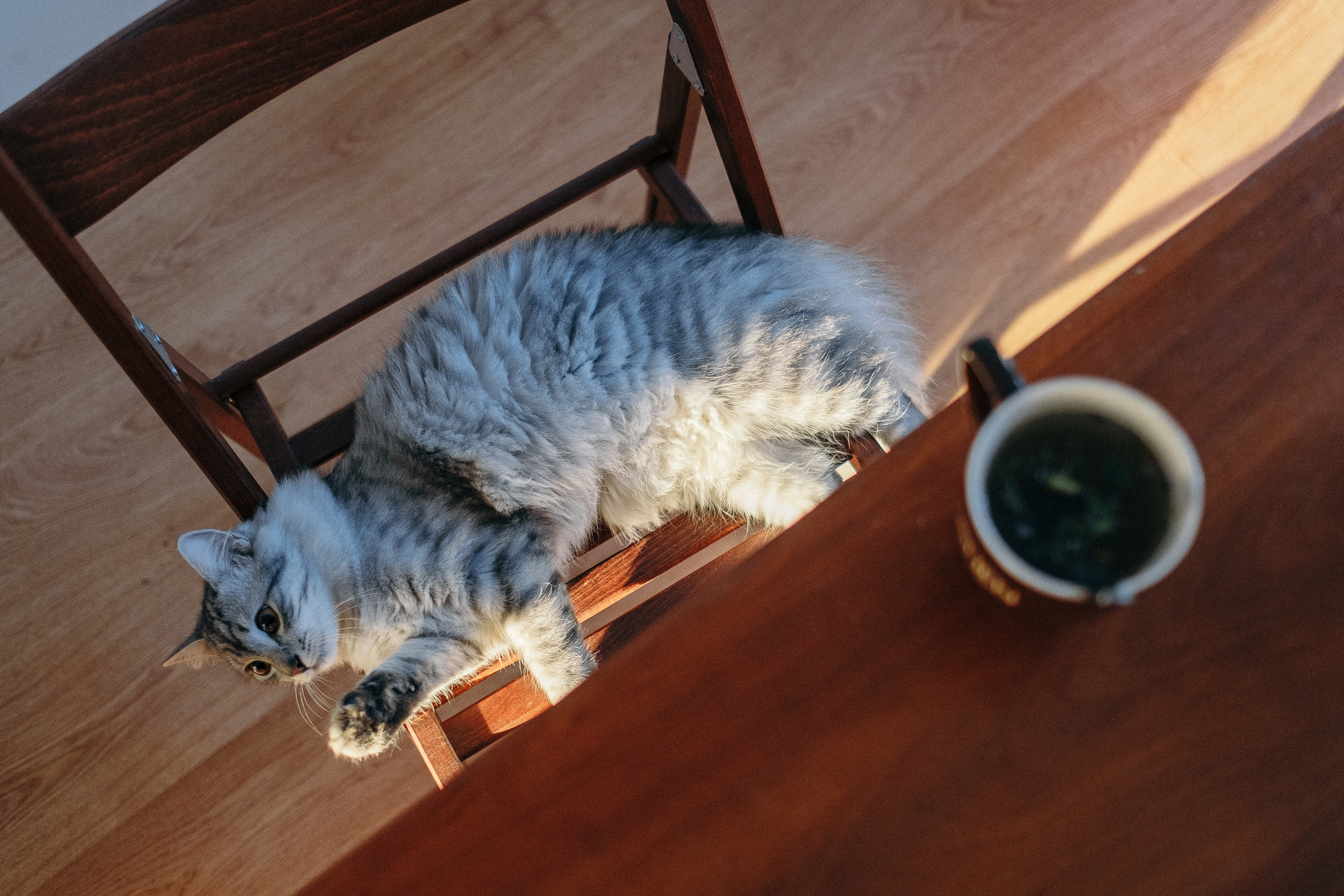 2019 19.10 WeddingStory Евгений+Юлия. Ivan Skufinsky — wedding and family photographer in Vancouver