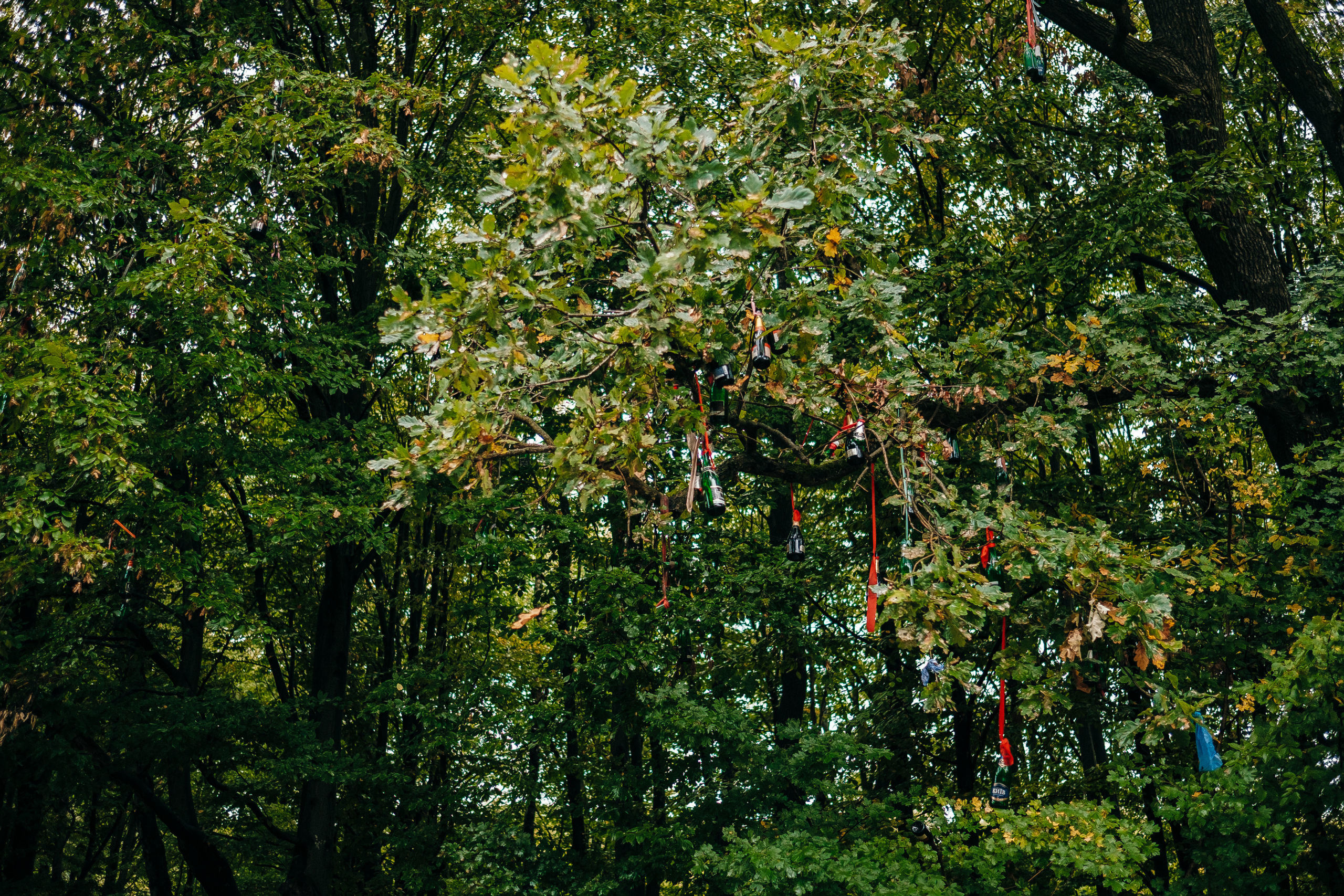 29.09.2018 Wedding Story. Ivan Skufinsky — wedding and family photographer in Vancouver