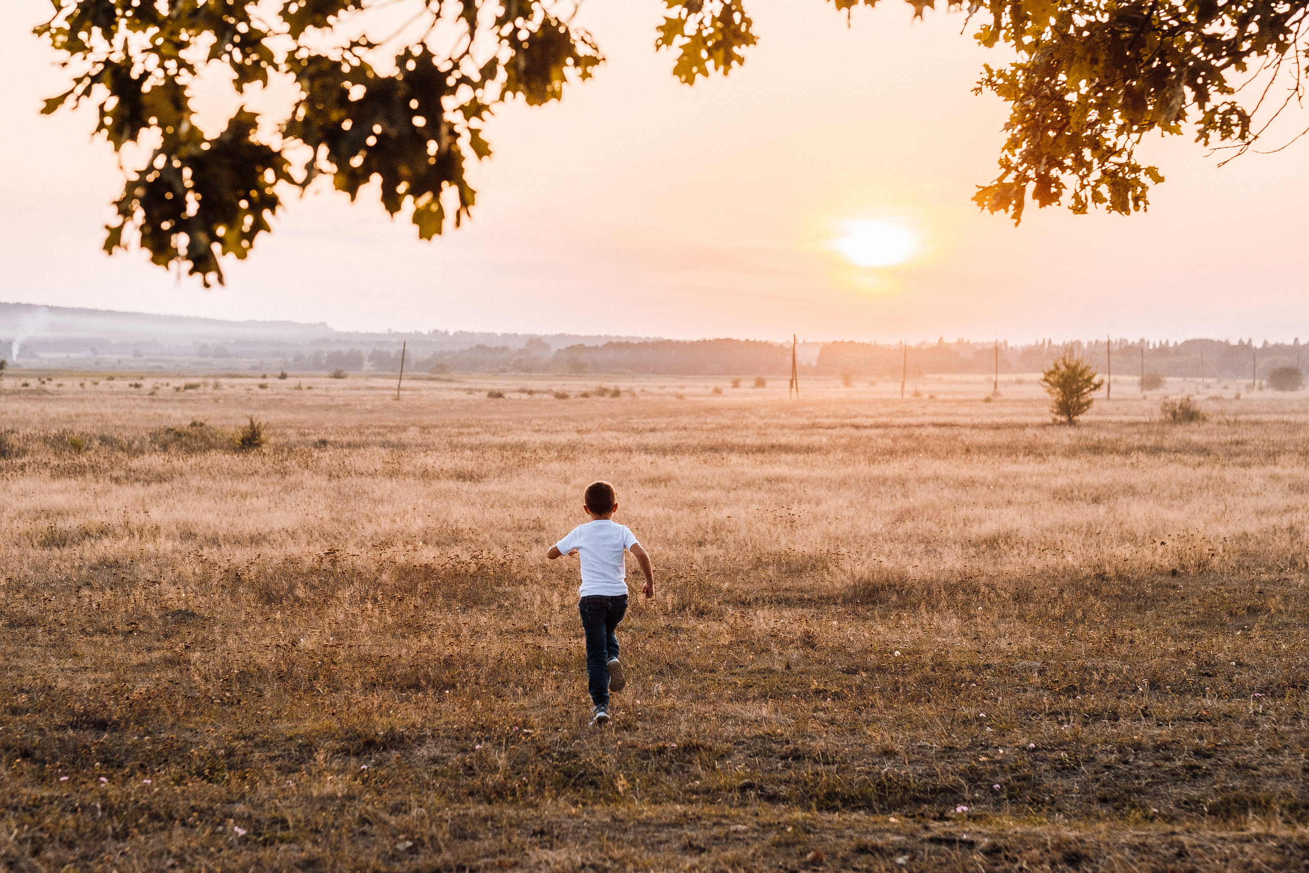 FamilyStory Ira+Kolya+Artem+Yaroslav. Ivan Skufinsky — wedding and family photographer in Vancouver