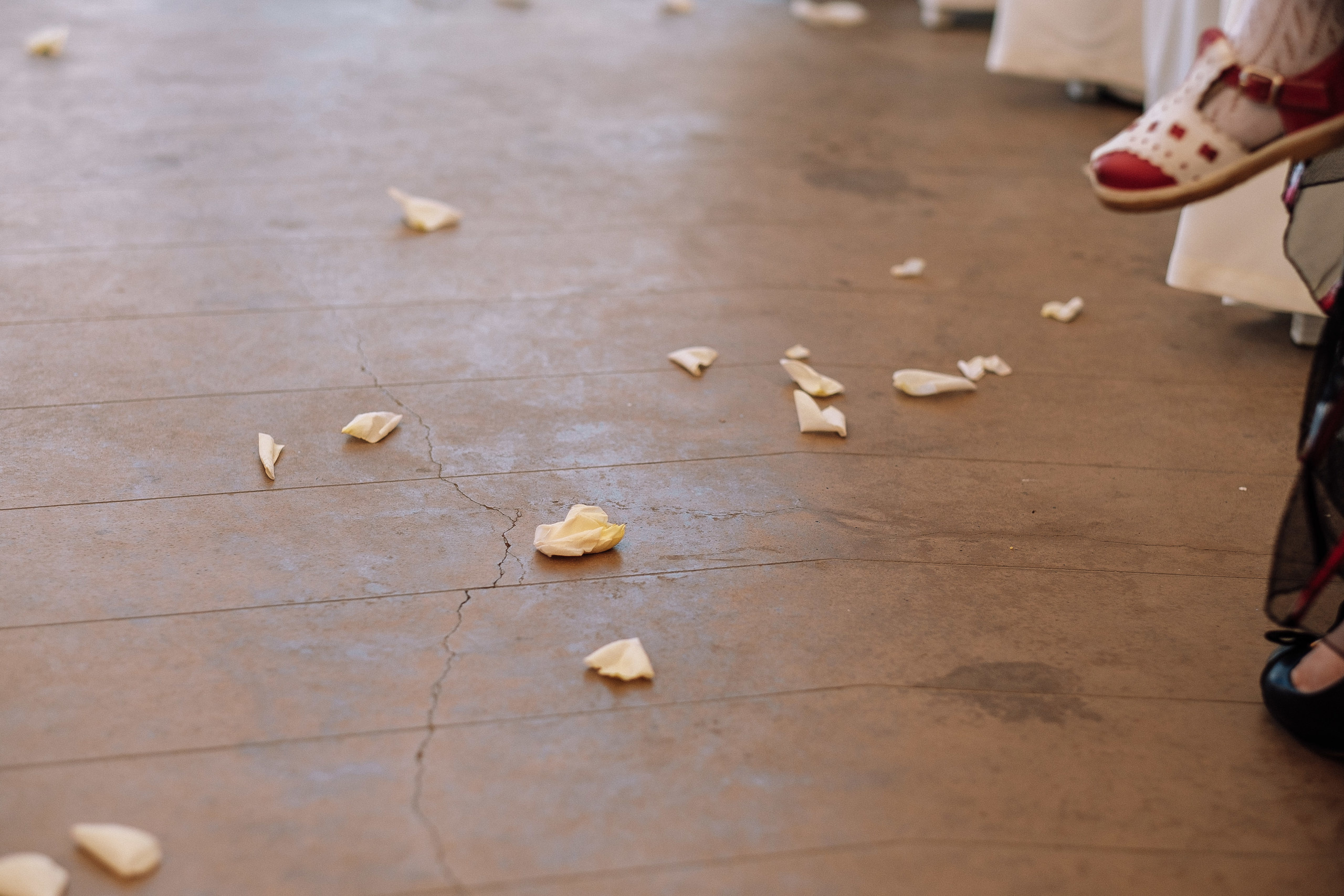 Вика+Максим. Ivan Skufinsky — wedding and family photographer in Vancouver