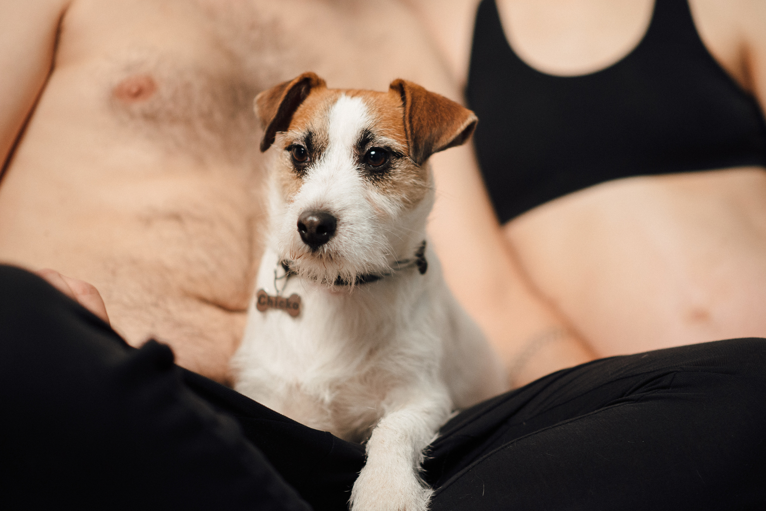 Pregnancy photo session in a photo studio with a dog. Ivan Skufinsky — wedding and family photographer in Vancouver