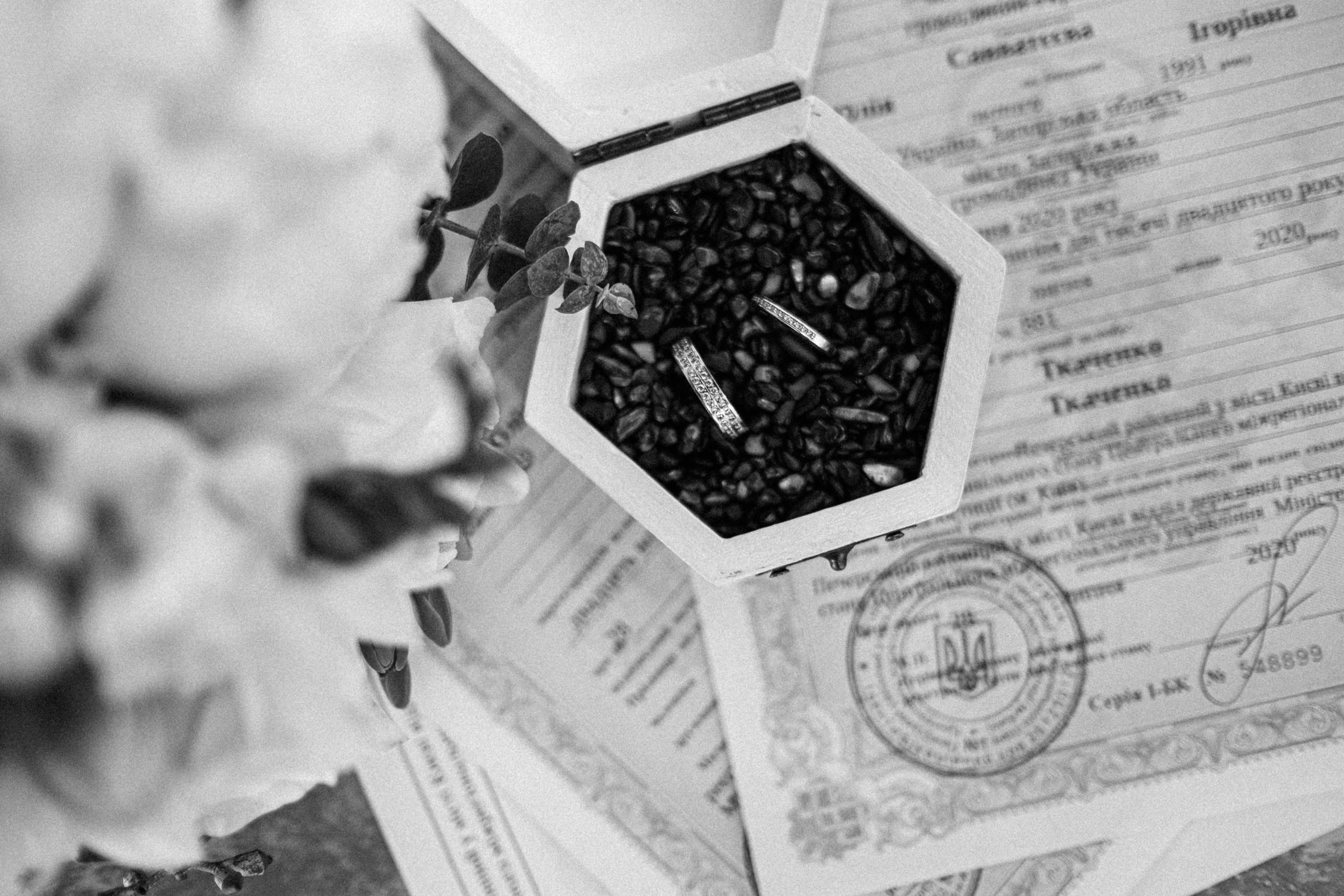 Sergey & Julia. Ivan Skufinsky — wedding and family photographer in Vancouver