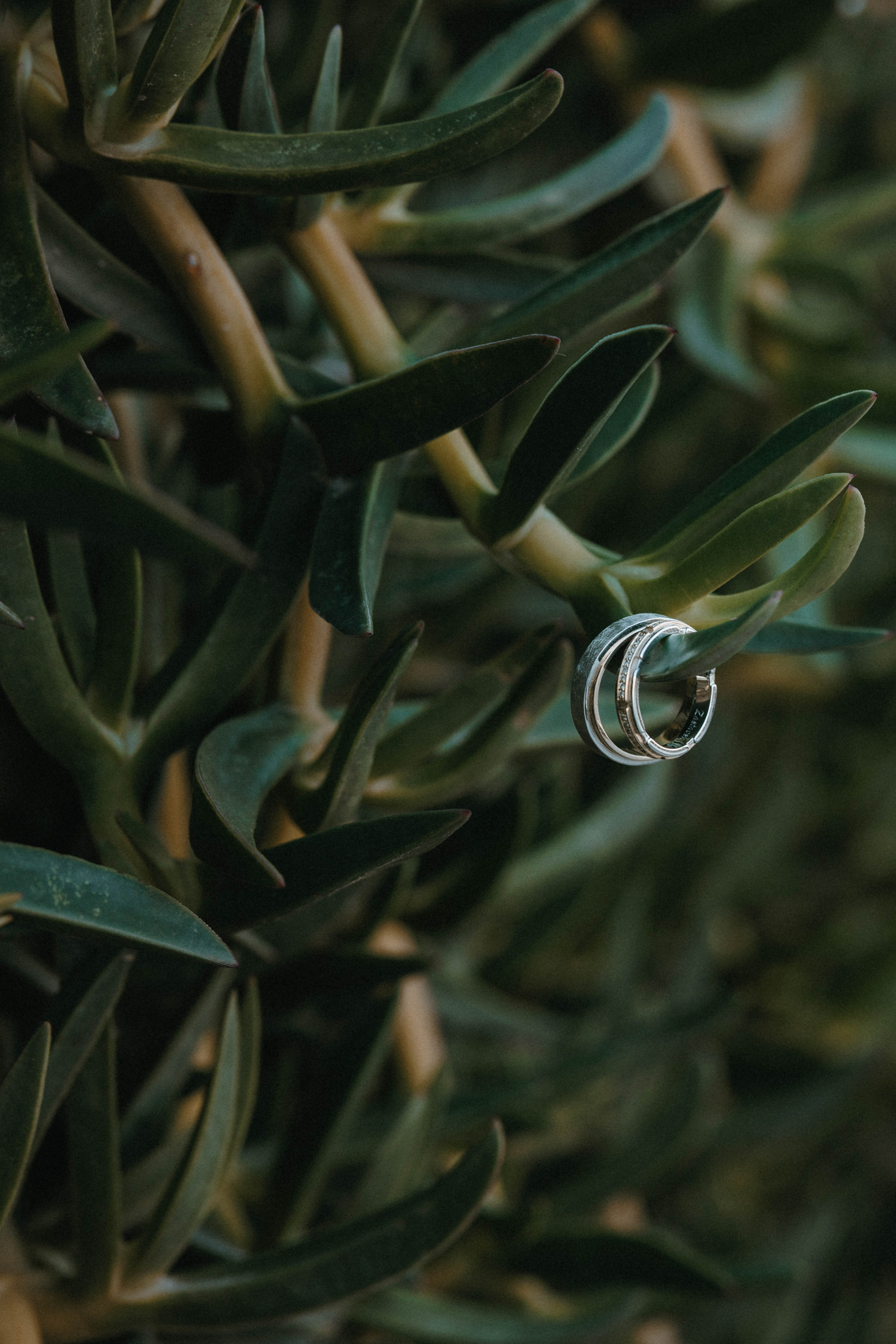 Evgeniy & Daria in Bodrum. Ivan Skufinsky — wedding and family photographer in Vancouver