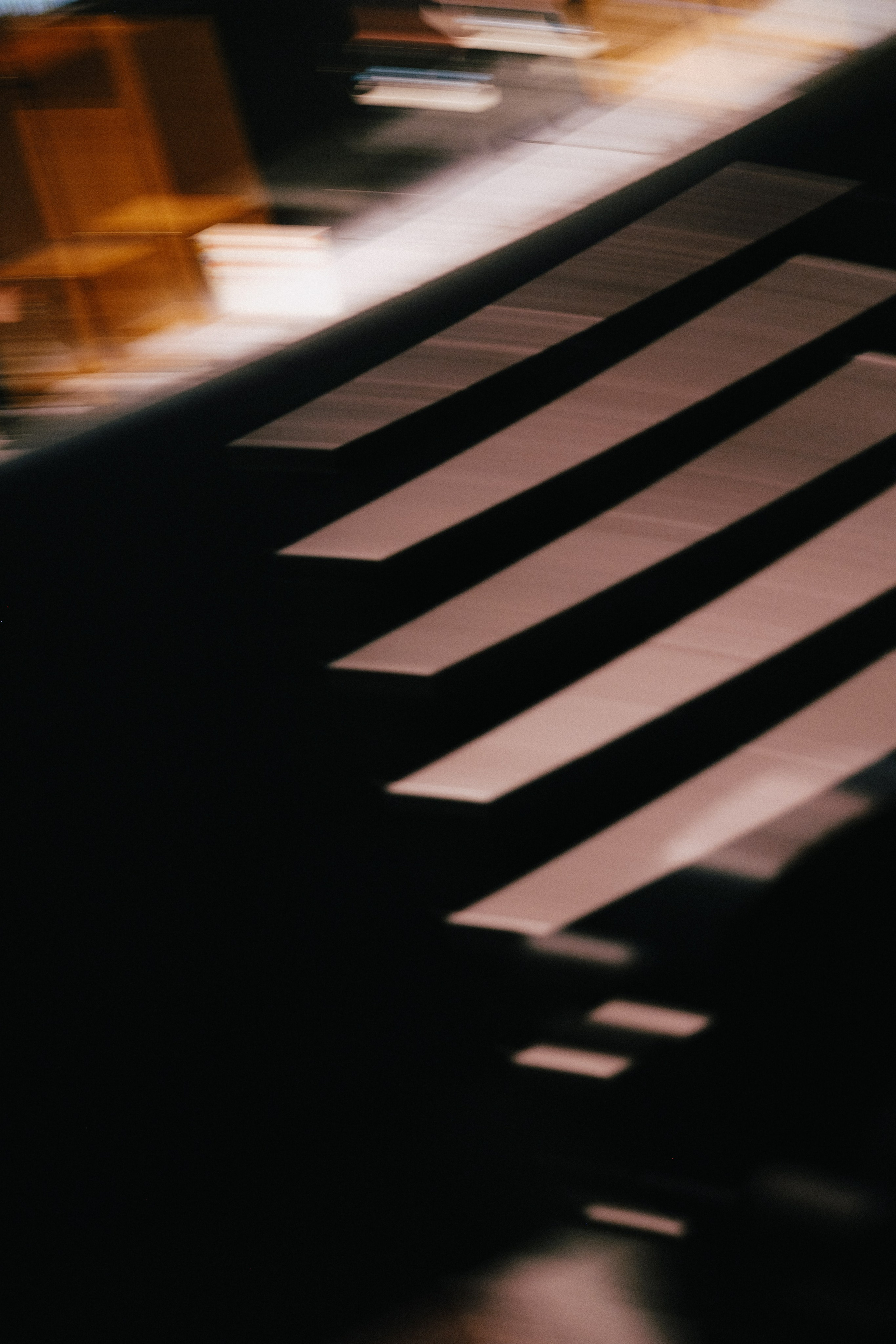 Film Premiere at Rio Theatre, Vancouver — “WAR TAILS”. Ivan Skufinsky — wedding and family photographer in Vancouver