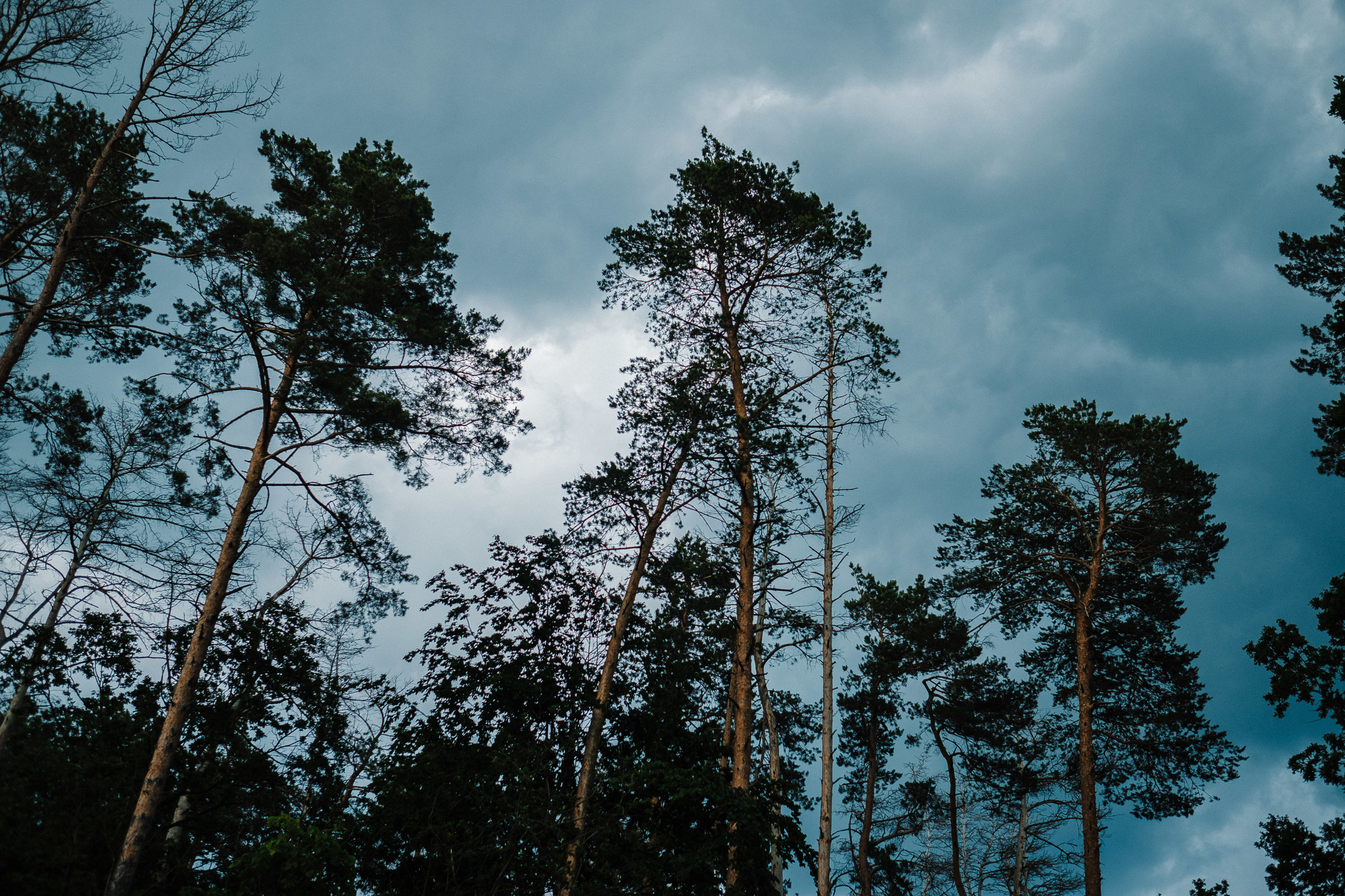 Владимир+Наталья 08.06.19. Ivan Skufinsky — wedding and family photographer in Vancouver