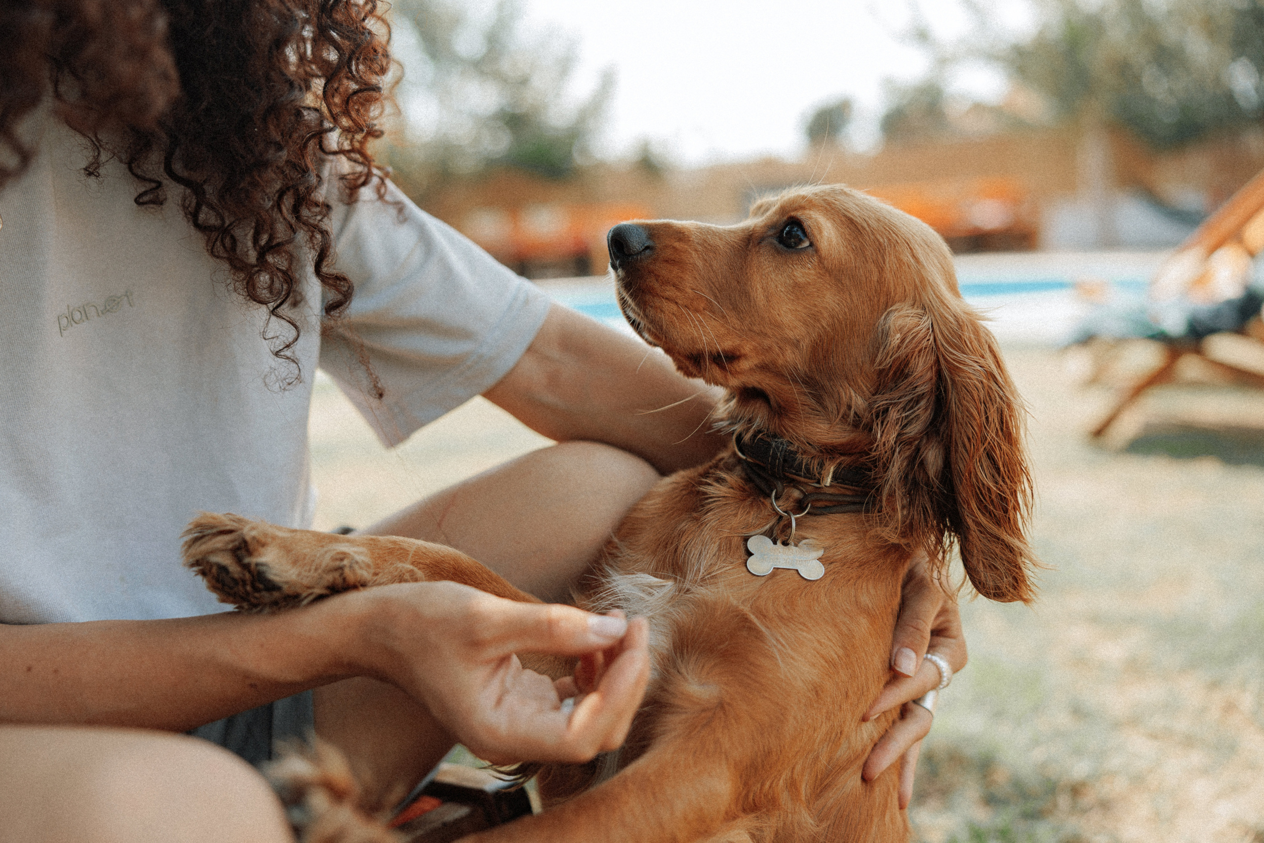Alsu & Anton. Izmir. Ivan Skufinsky — wedding and family photographer in Vancouver