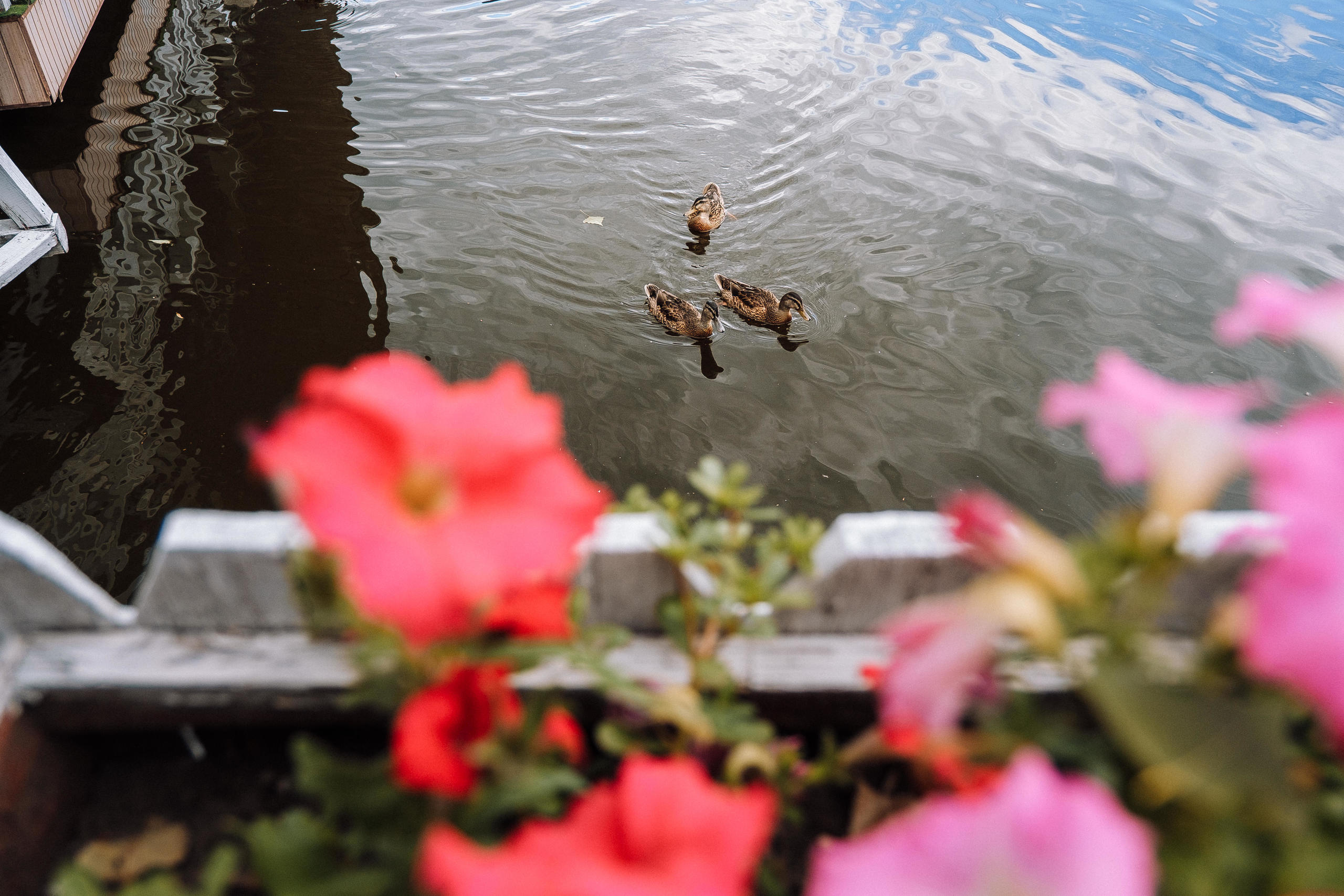 29.06.2019 WeddingStory. Ivan Skufinsky — wedding and family photographer in Vancouver