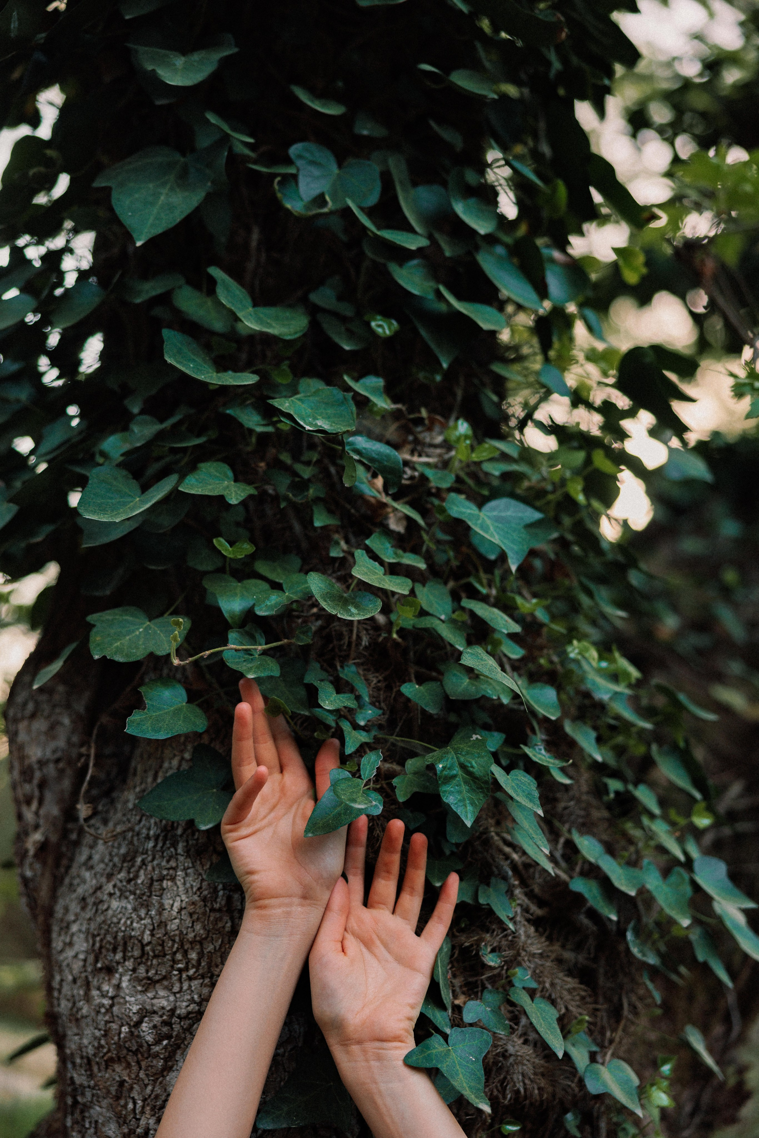 Инивидуальная фотосессия Ванкувер. Ivan Skufinsky — wedding and family photographer in Vancouver