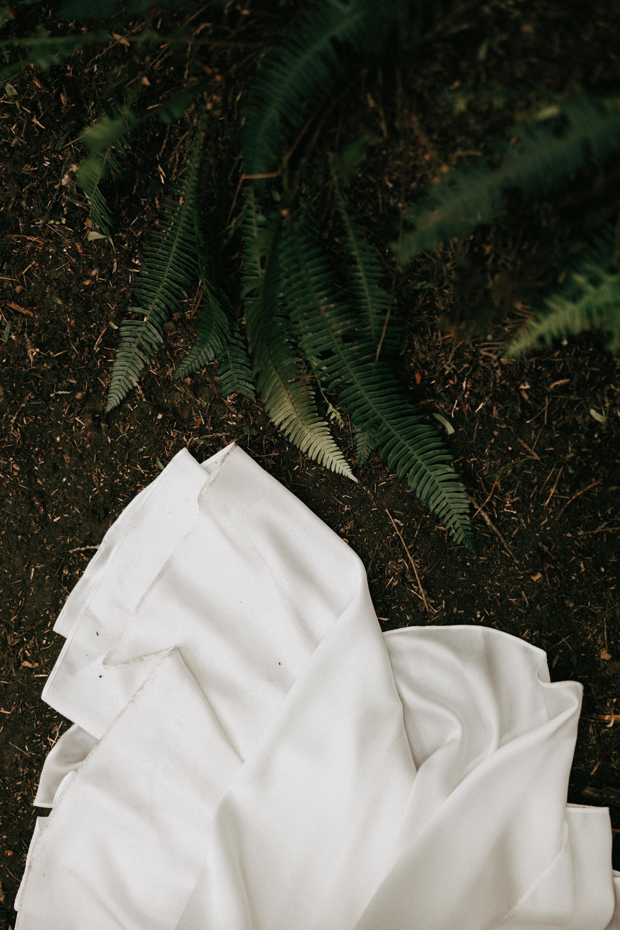 Michael & Caitlyn. Ivan Skufinsky — wedding and family photographer in Vancouver