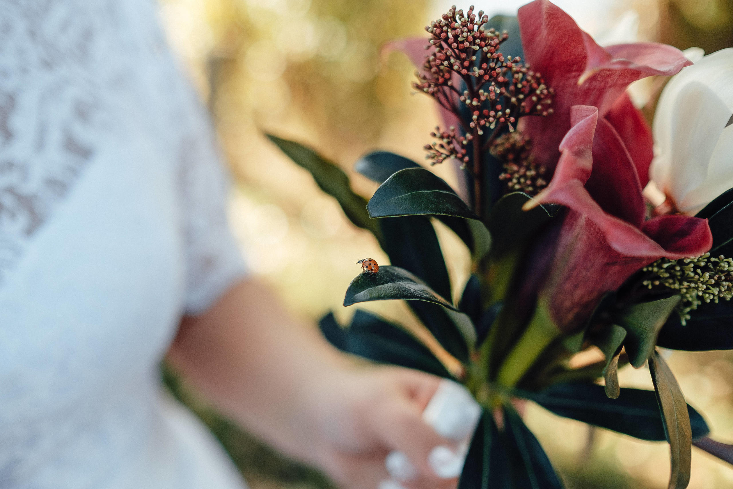 13.09.2018 Wedding Story. Ivan Skufinsky — wedding and family photographer in Vancouver