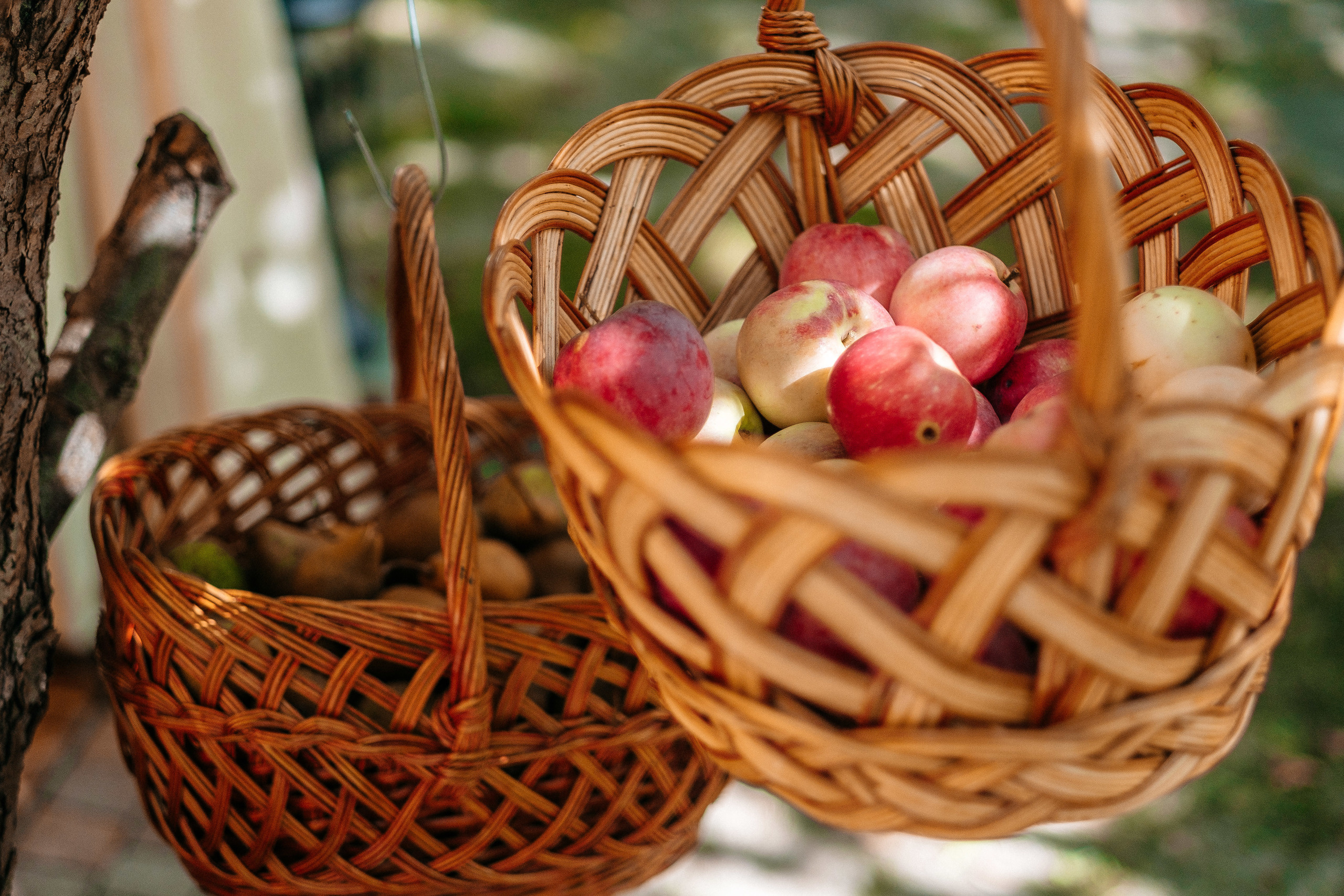 День Рождения Лизочка 7 лет. Ivan Skufinsky — wedding and family photographer in Vancouver