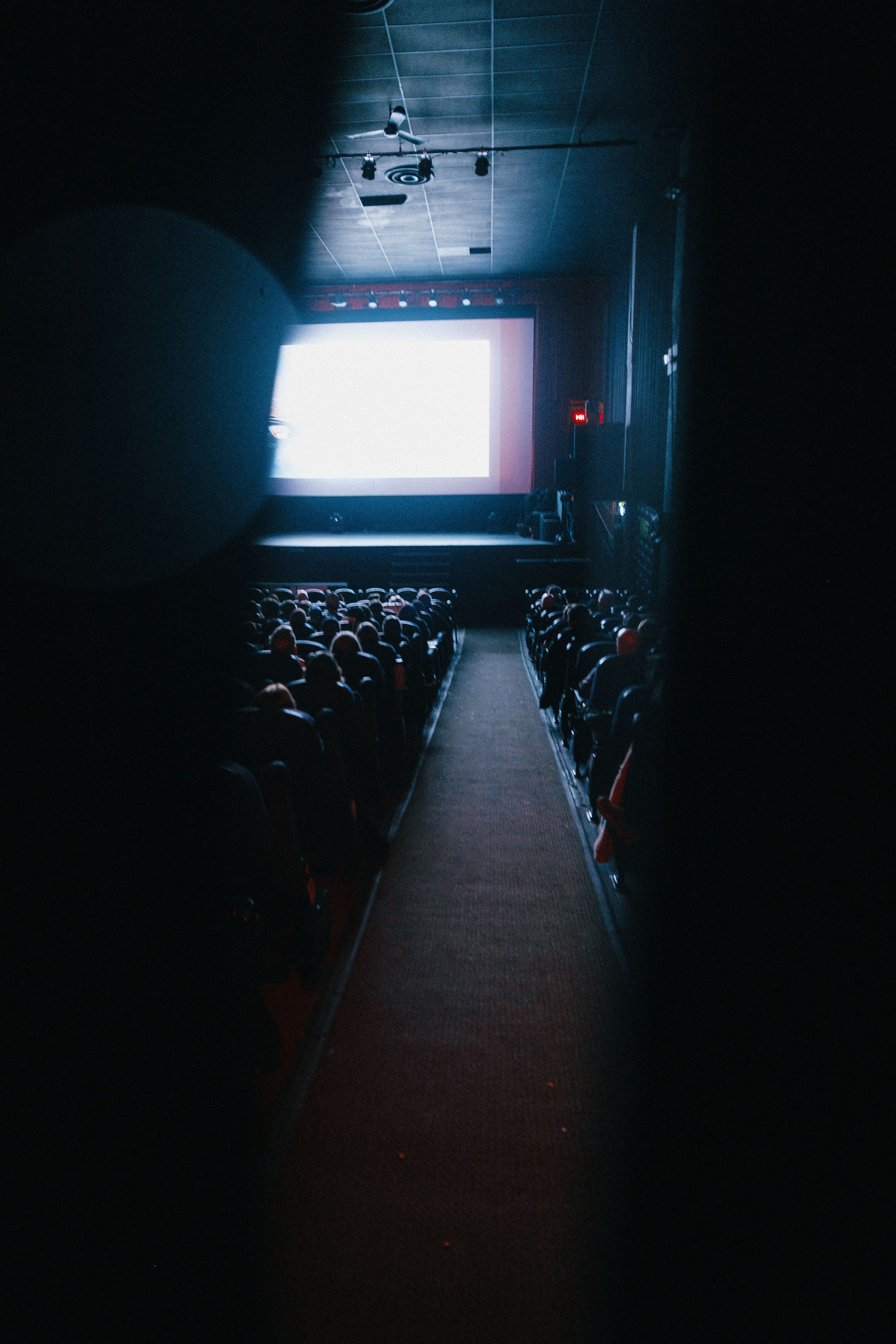 Film Premiere at Rio Theatre, Vancouver — “WAR TAILS”. Ivan Skufinsky — wedding and family photographer in Vancouver