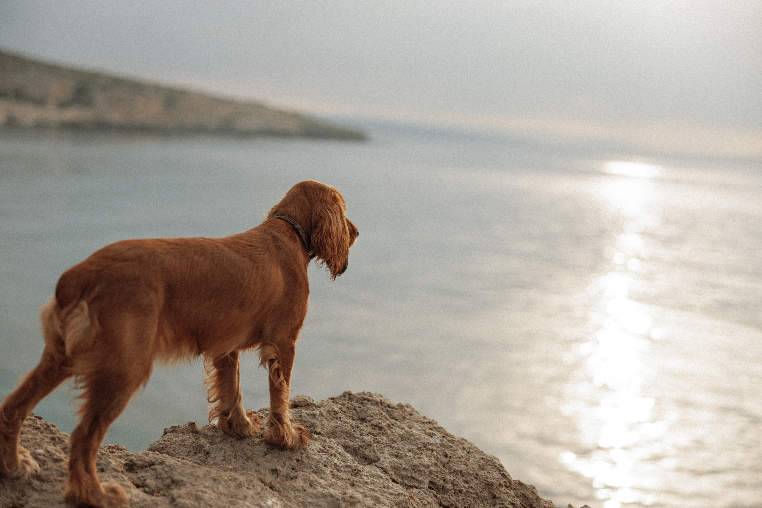Alsu & Anton. Izmir. Ivan Skufinsky — wedding and family photographer in Vancouver