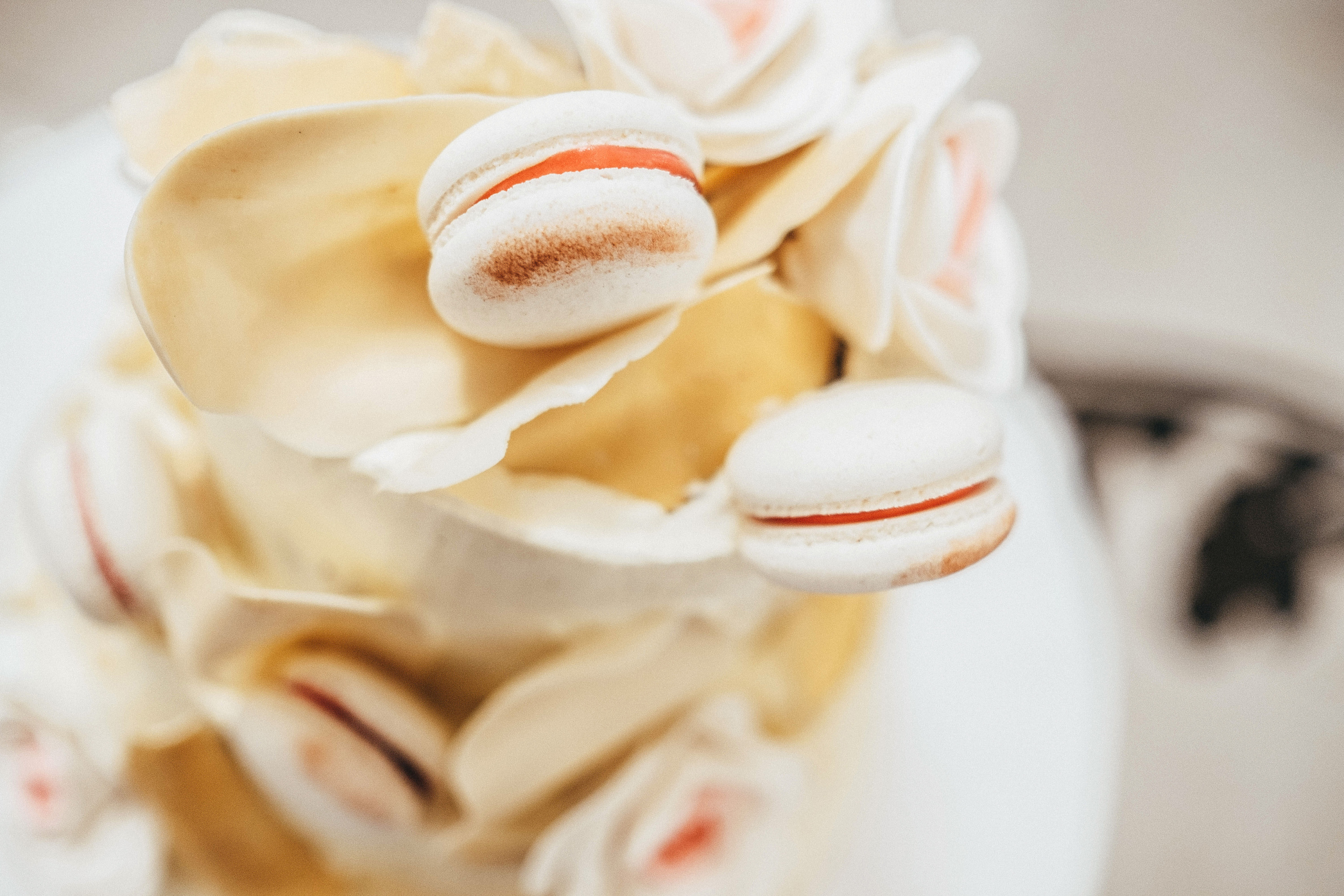 Wedding photoshoots photographer videographer Vancouver BC. Ivan Skufinsky — wedding and family photographer in Vancouver