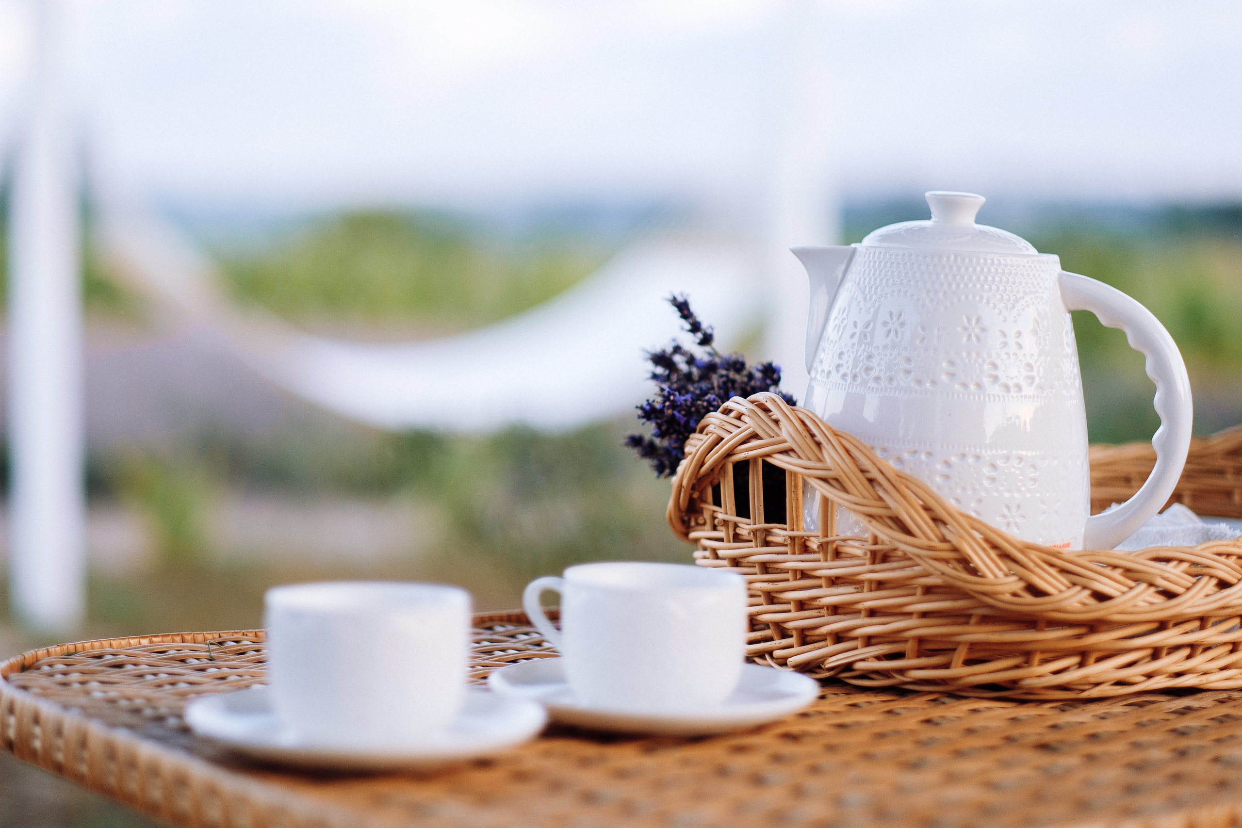 LaVANda. Ivan Skufinsky — wedding and family photographer in Vancouver